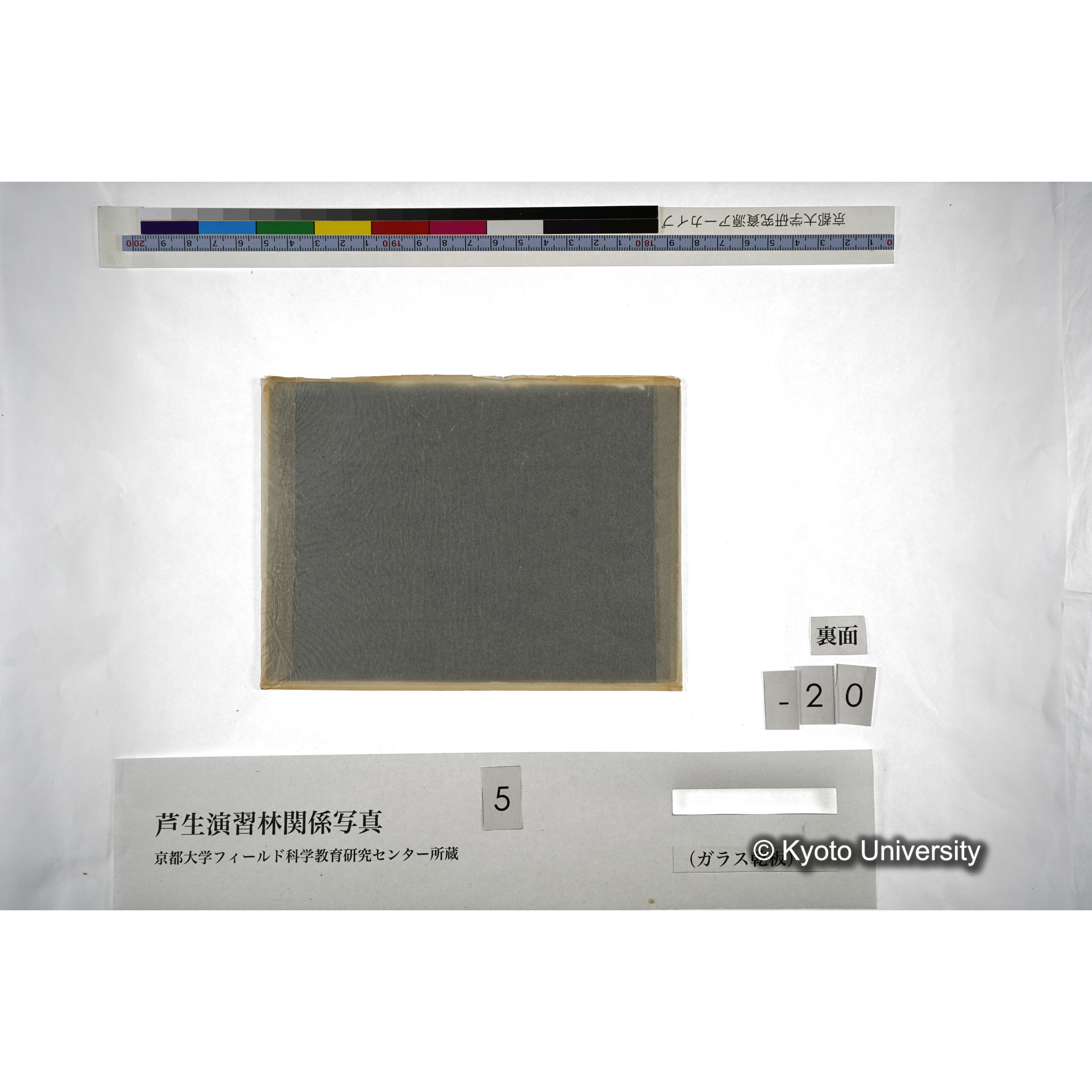 （ガラス乾板芦生柴田3-021） (4)