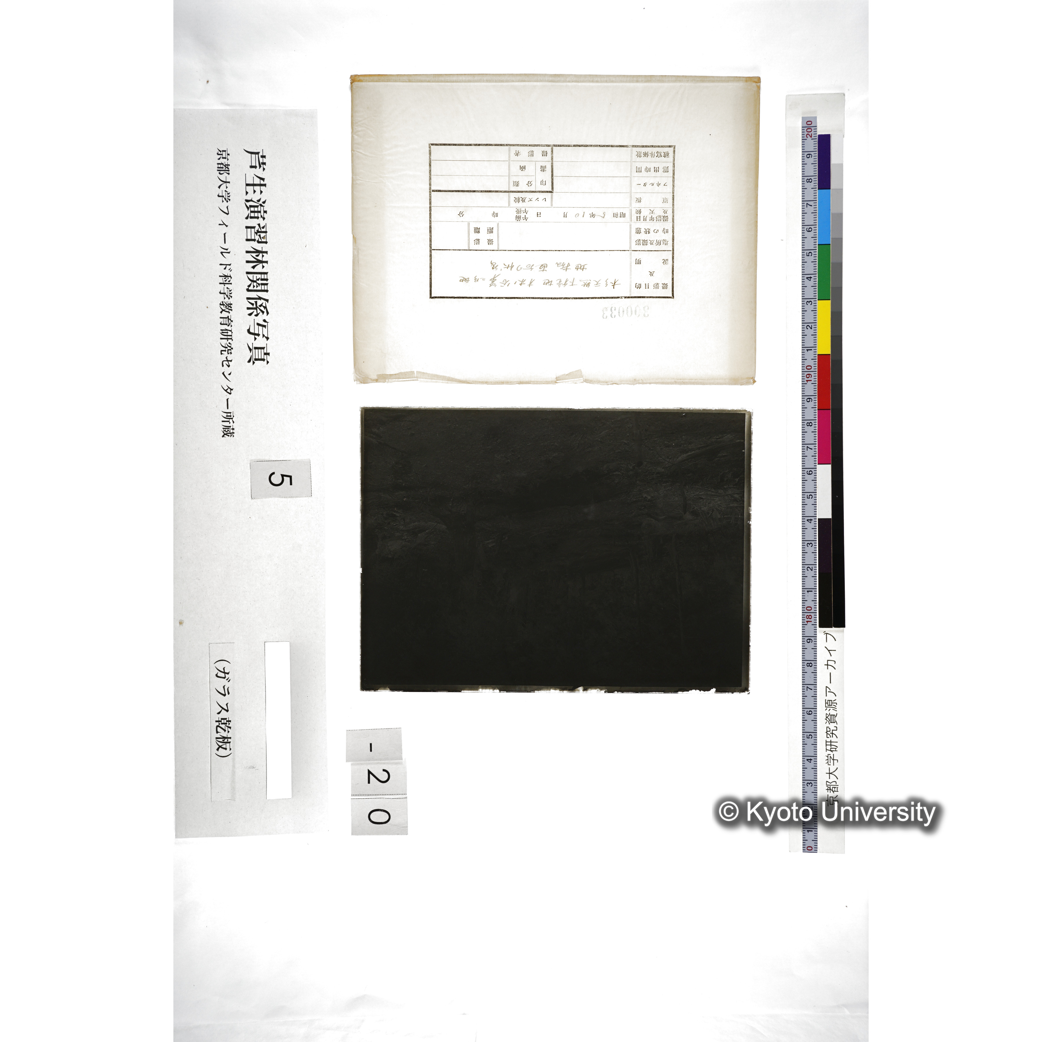 （ガラス乾板芦生柴田3-021） (5)