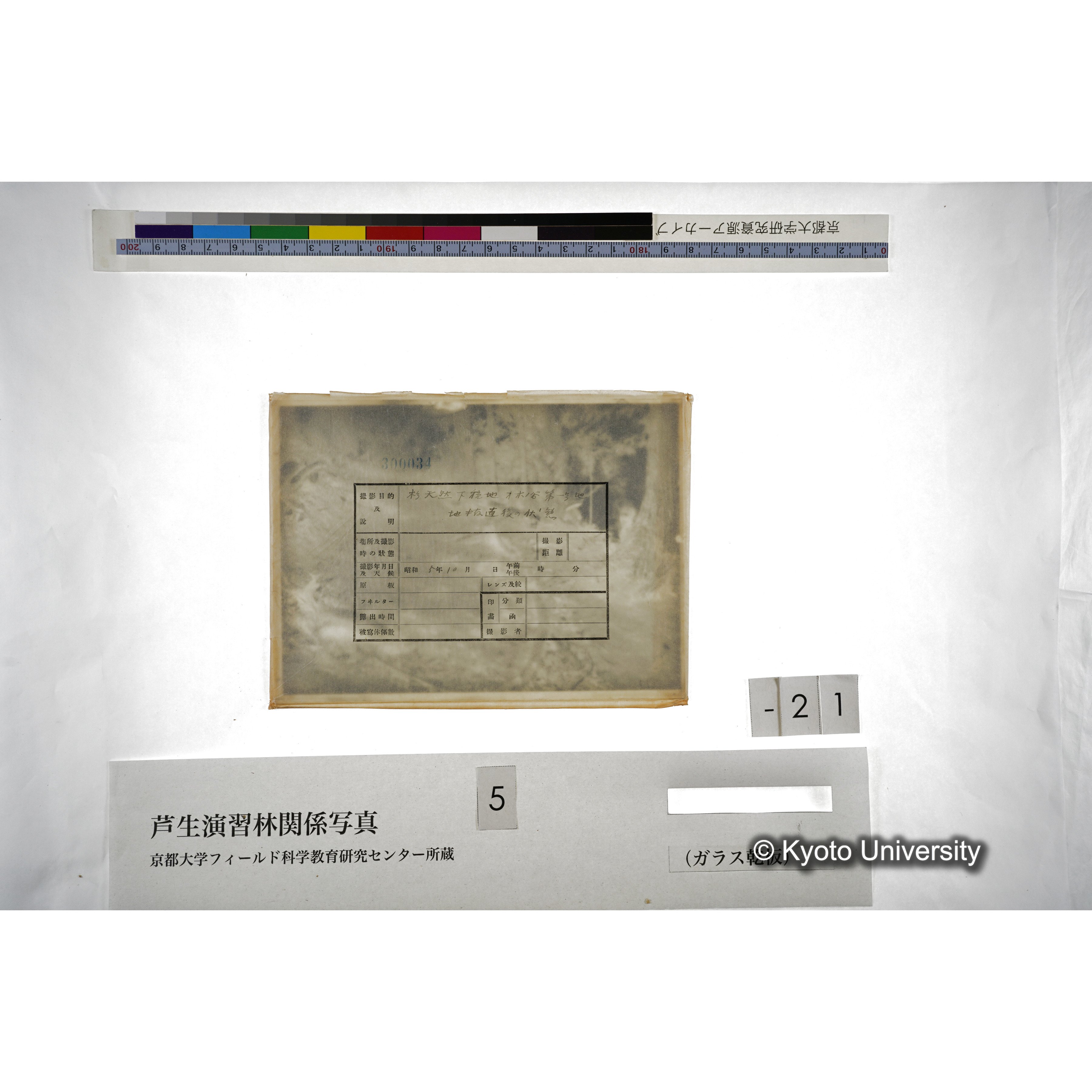 （ガラス乾板芦生柴田3-022） (3)