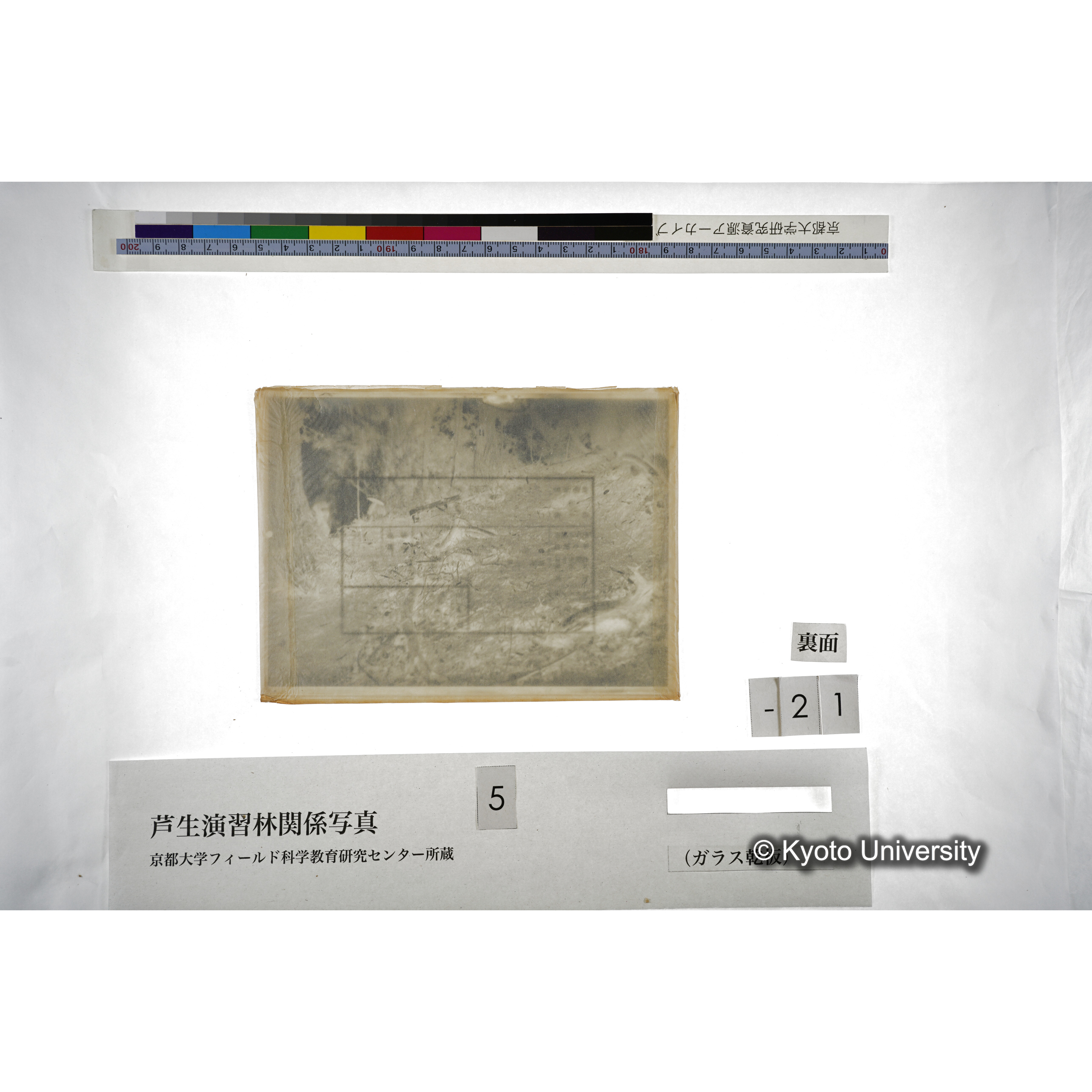（ガラス乾板芦生柴田3-022） (4)
