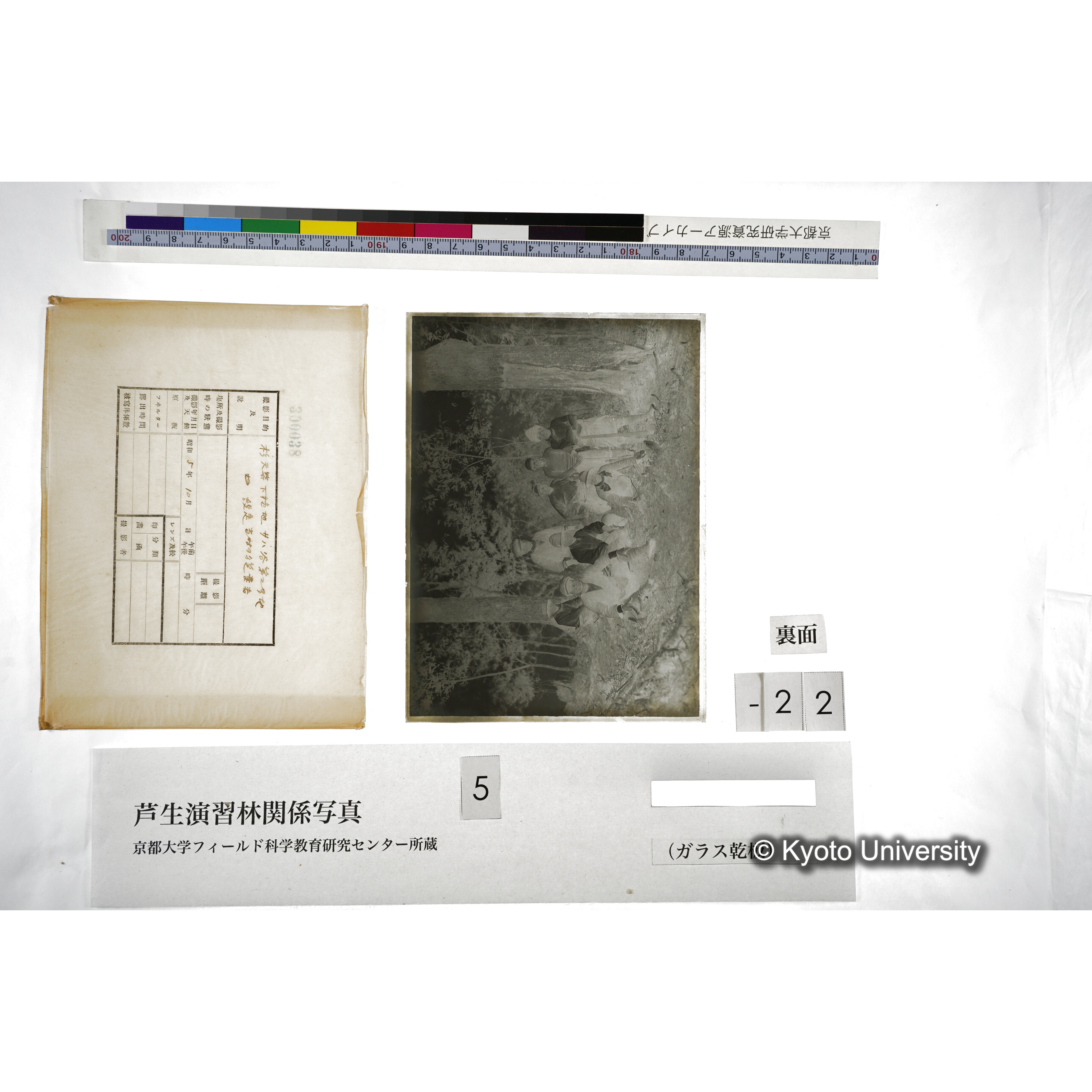 （ガラス乾板芦生柴田3-023） (2)