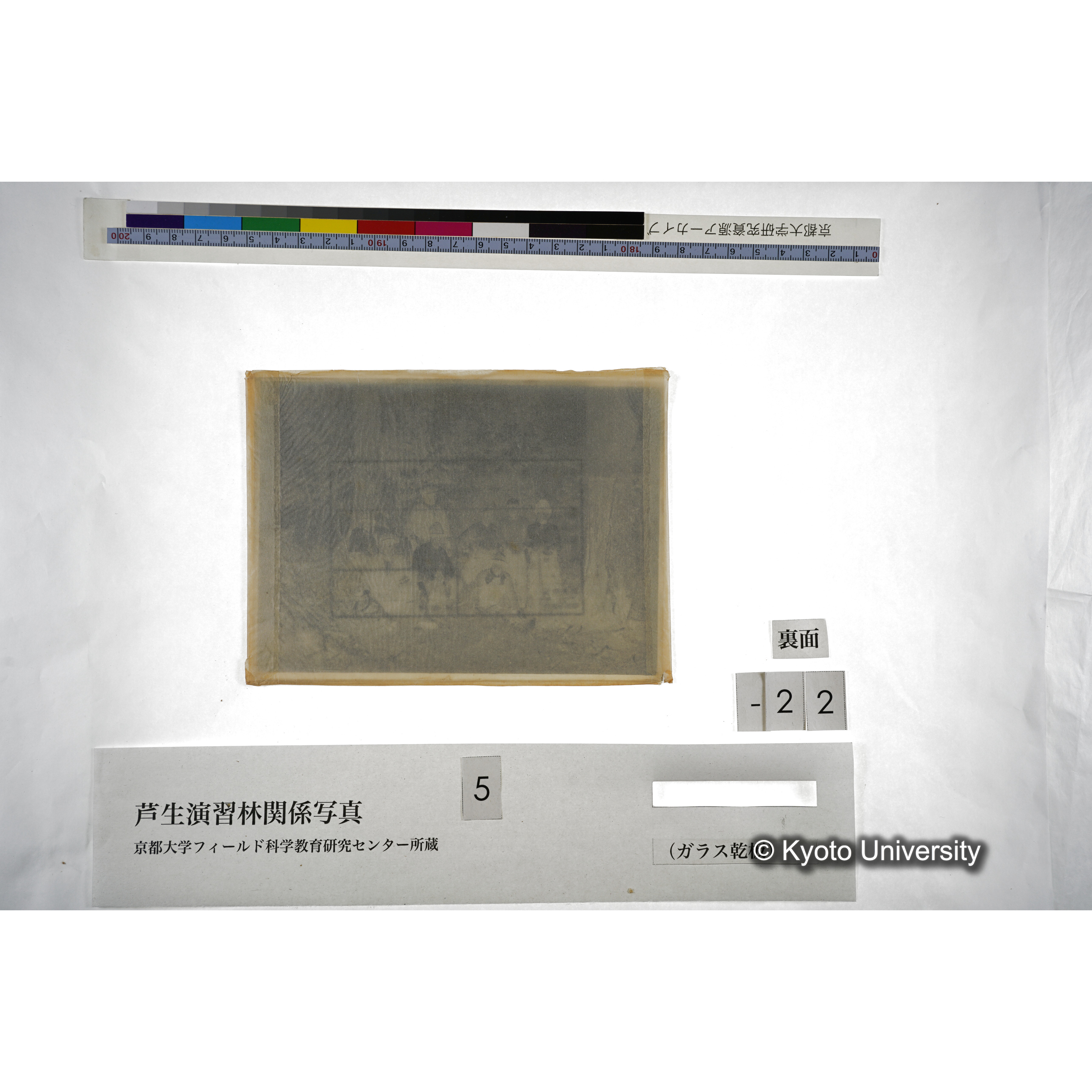 （ガラス乾板芦生柴田3-023） (3)