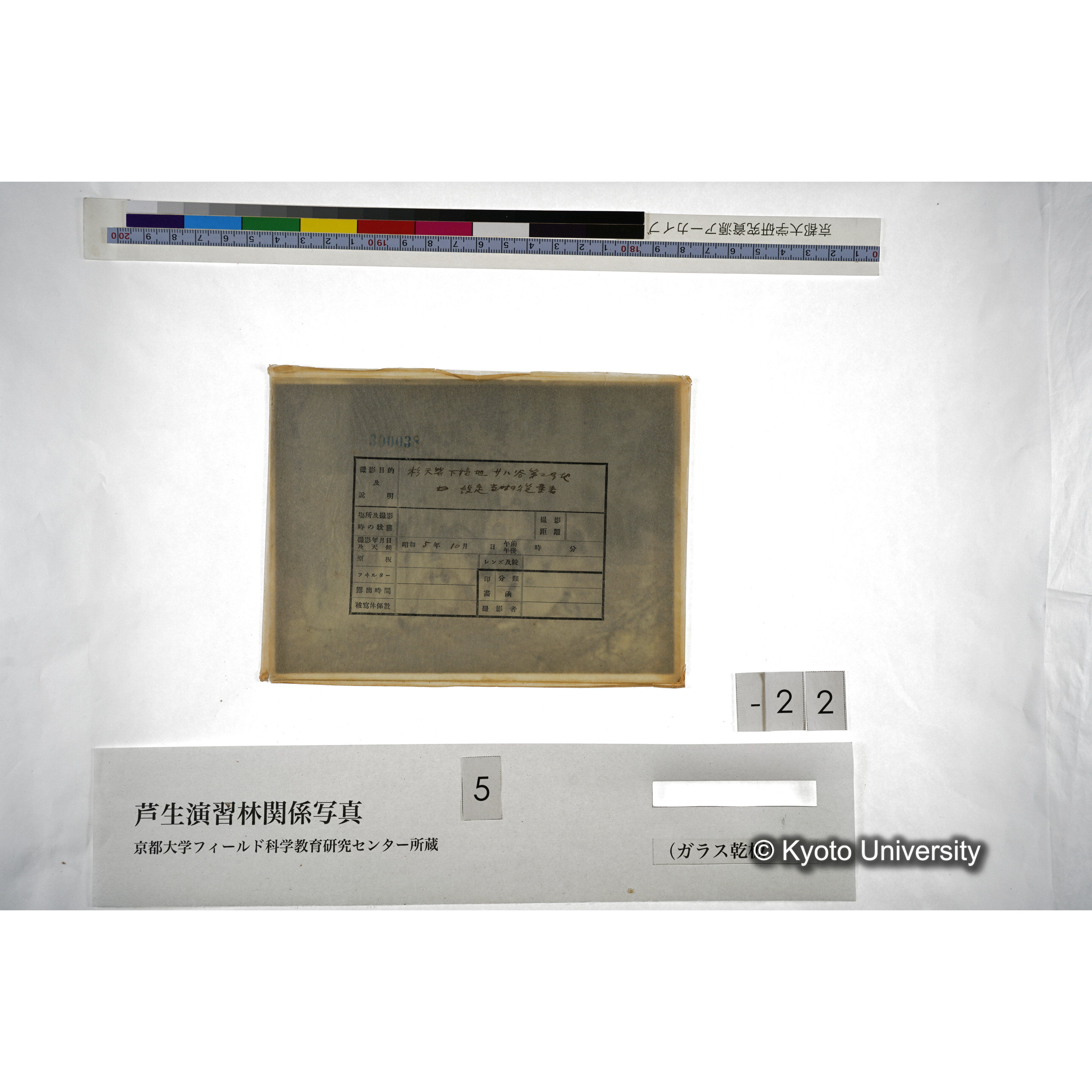 （ガラス乾板芦生柴田3-023） (4)