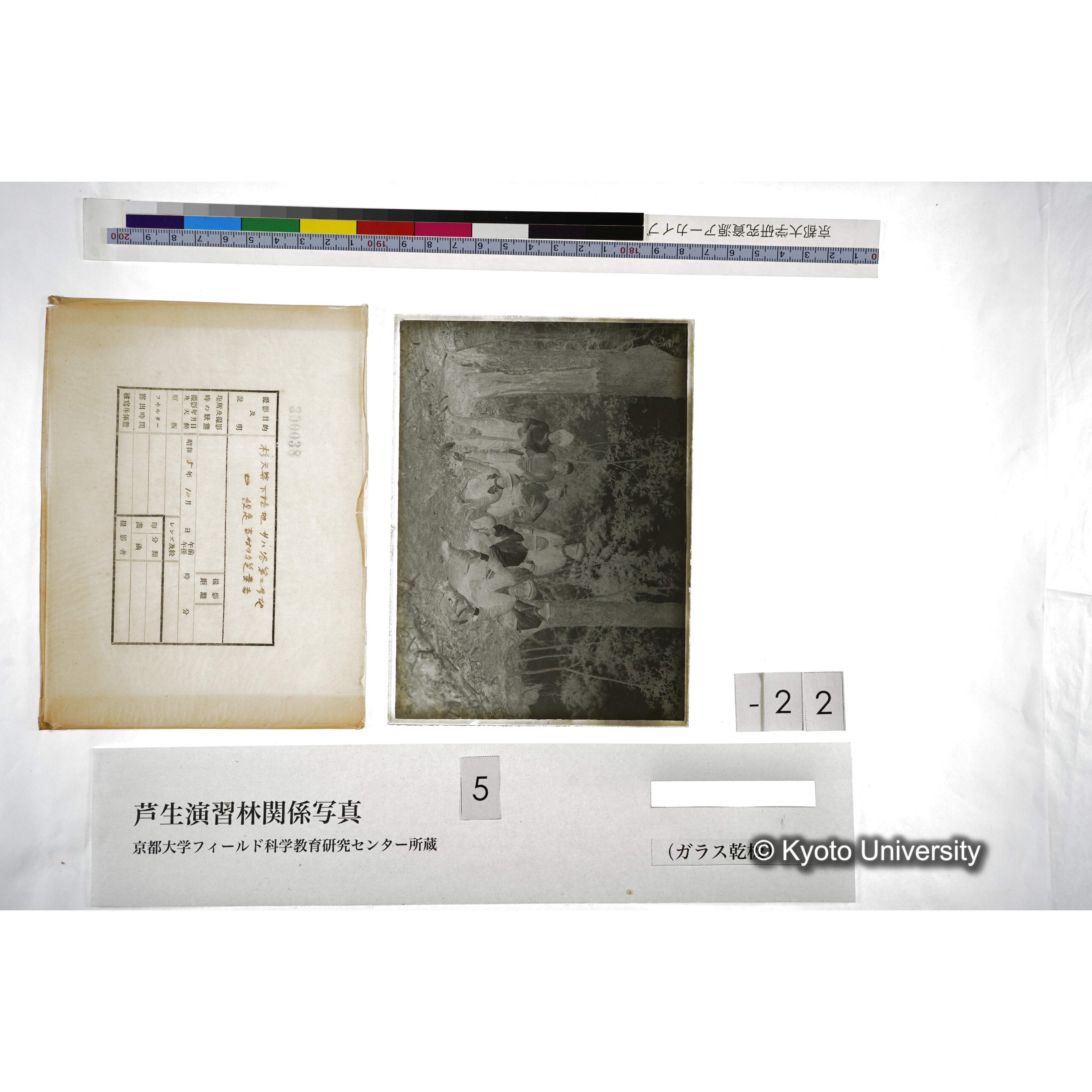 （ガラス乾板芦生柴田3-023） (5)