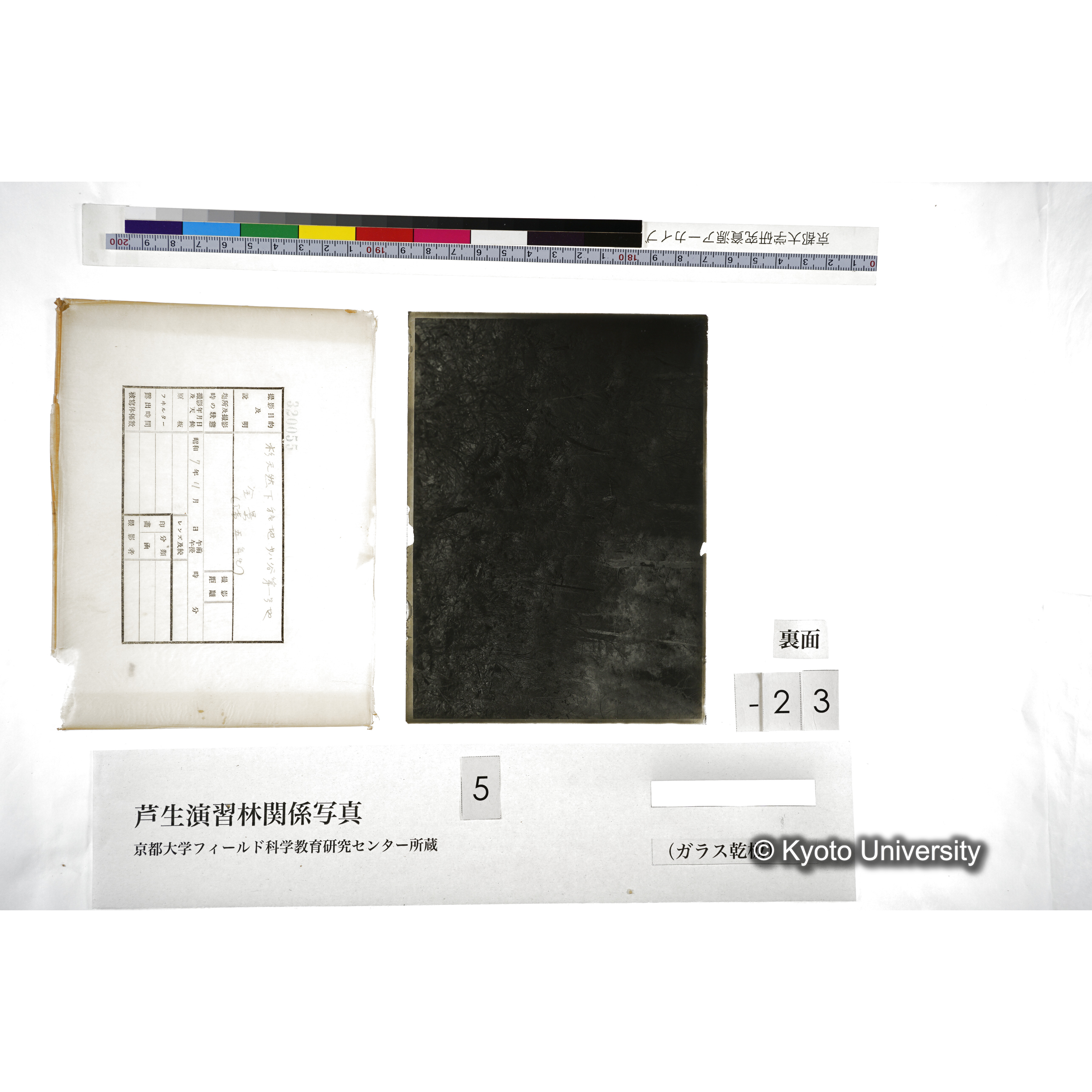 （ガラス乾板芦生柴田3-024） (2)