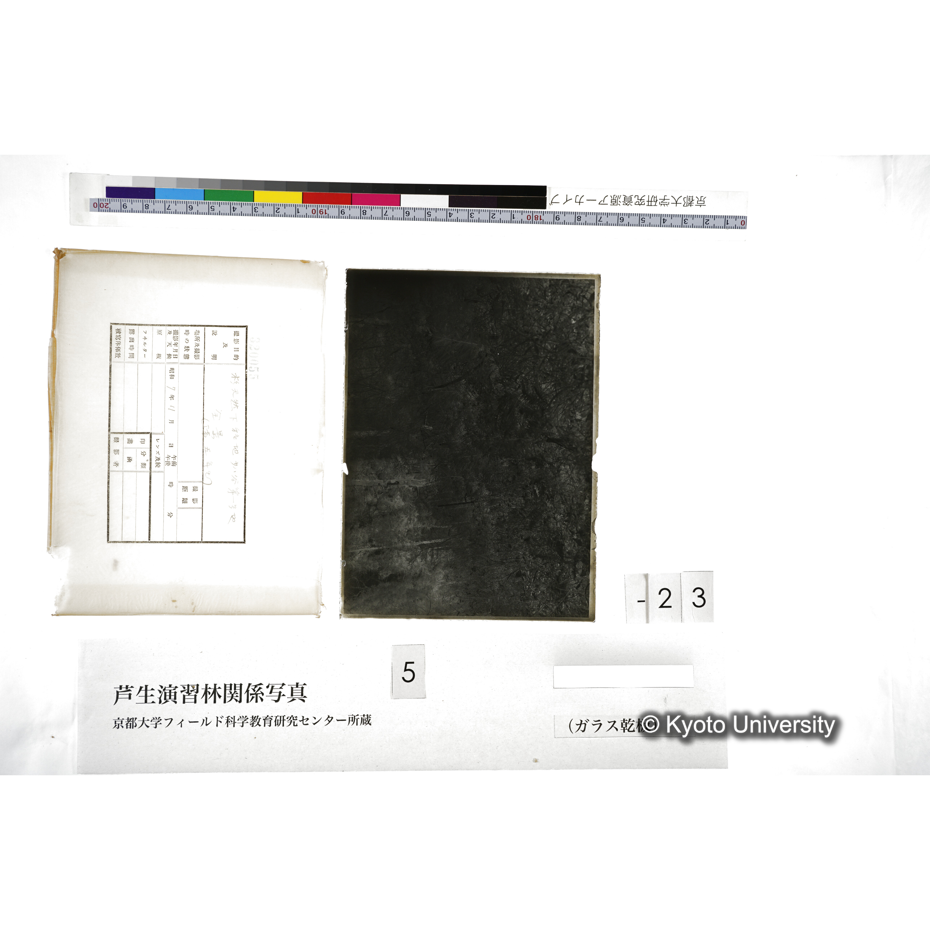 （ガラス乾板芦生柴田3-024） (5)