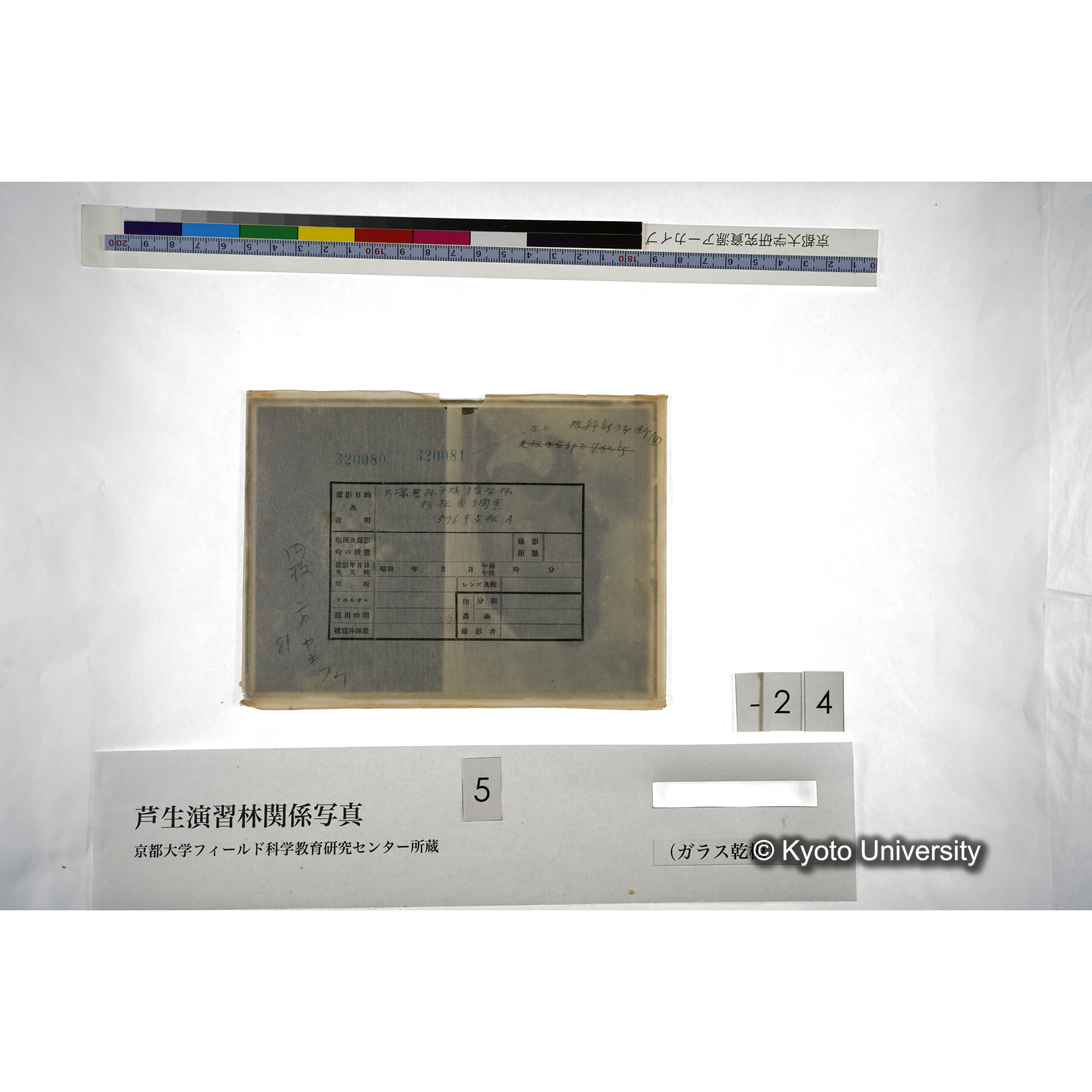 （ガラス乾板芦生柴田3-025） (3)