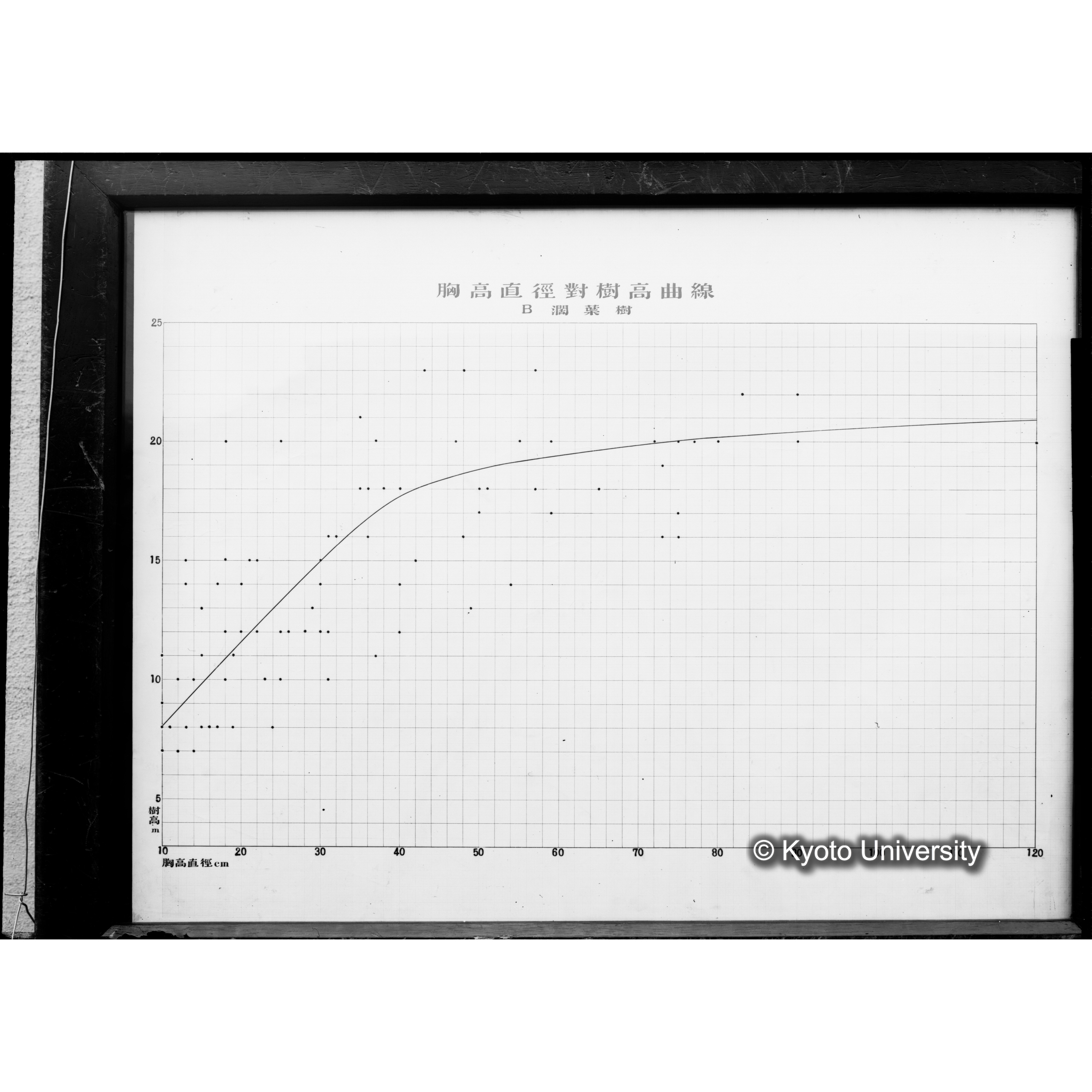 （ガラス乾板芦生柴田3-027） (1)