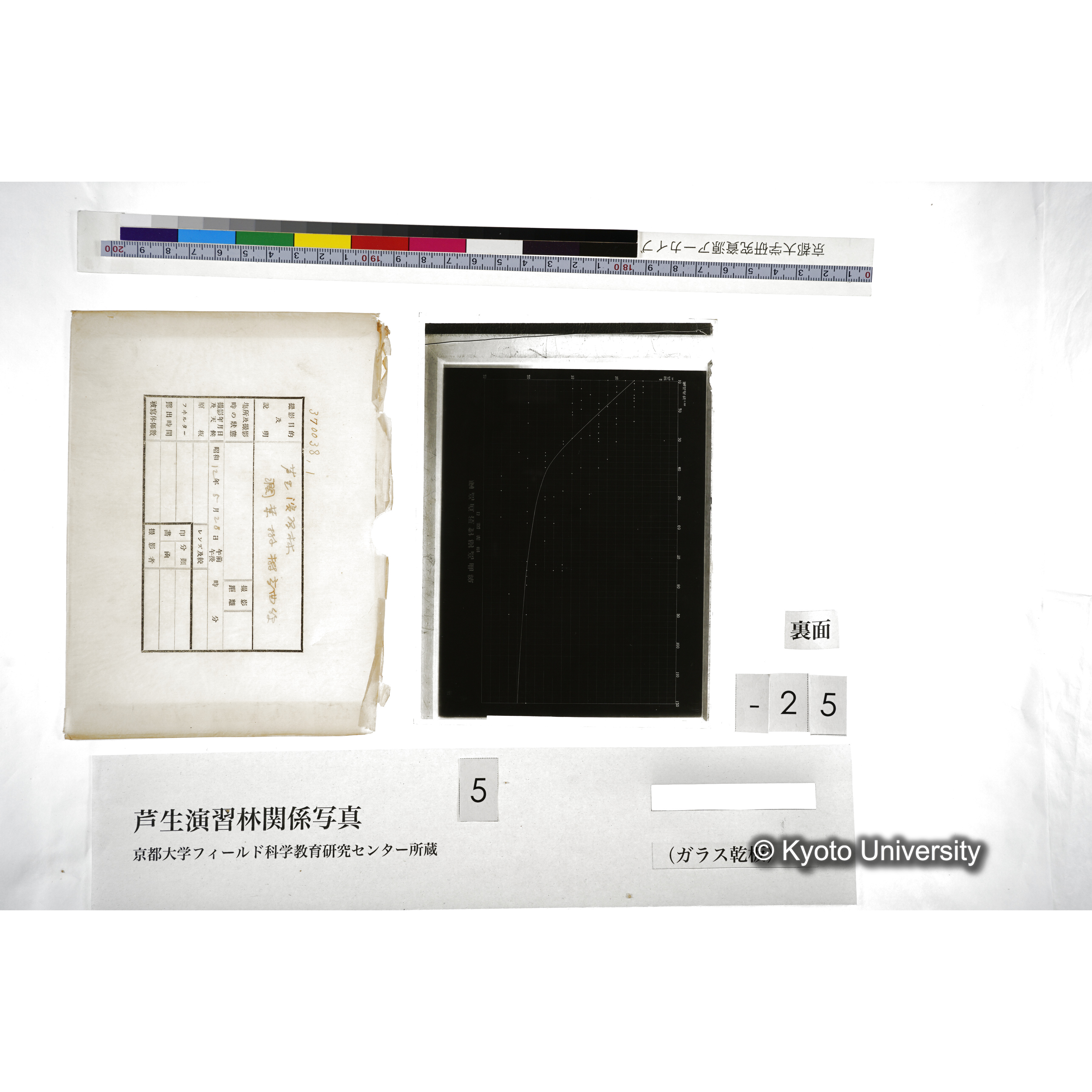 （ガラス乾板芦生柴田3-027） (2)