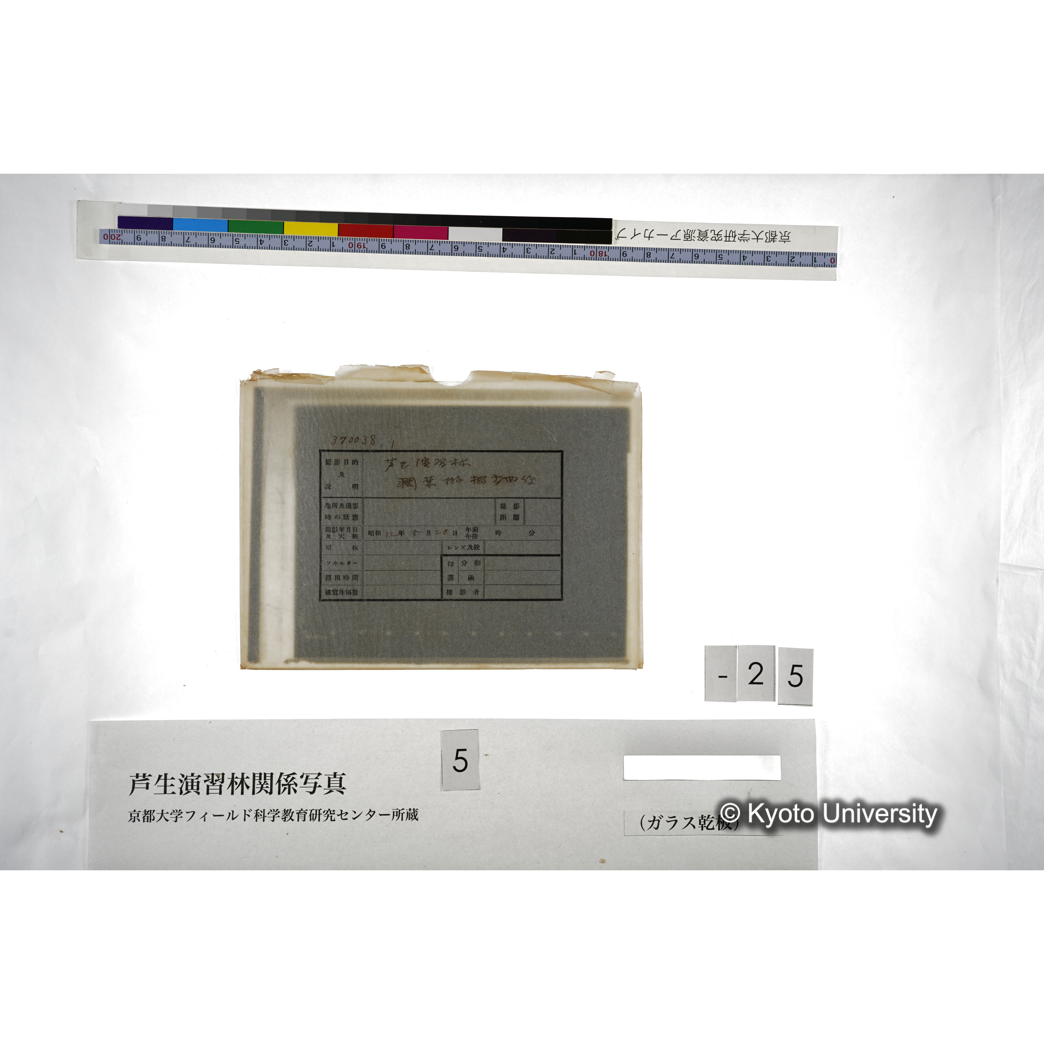 （ガラス乾板芦生柴田3-027） (3)