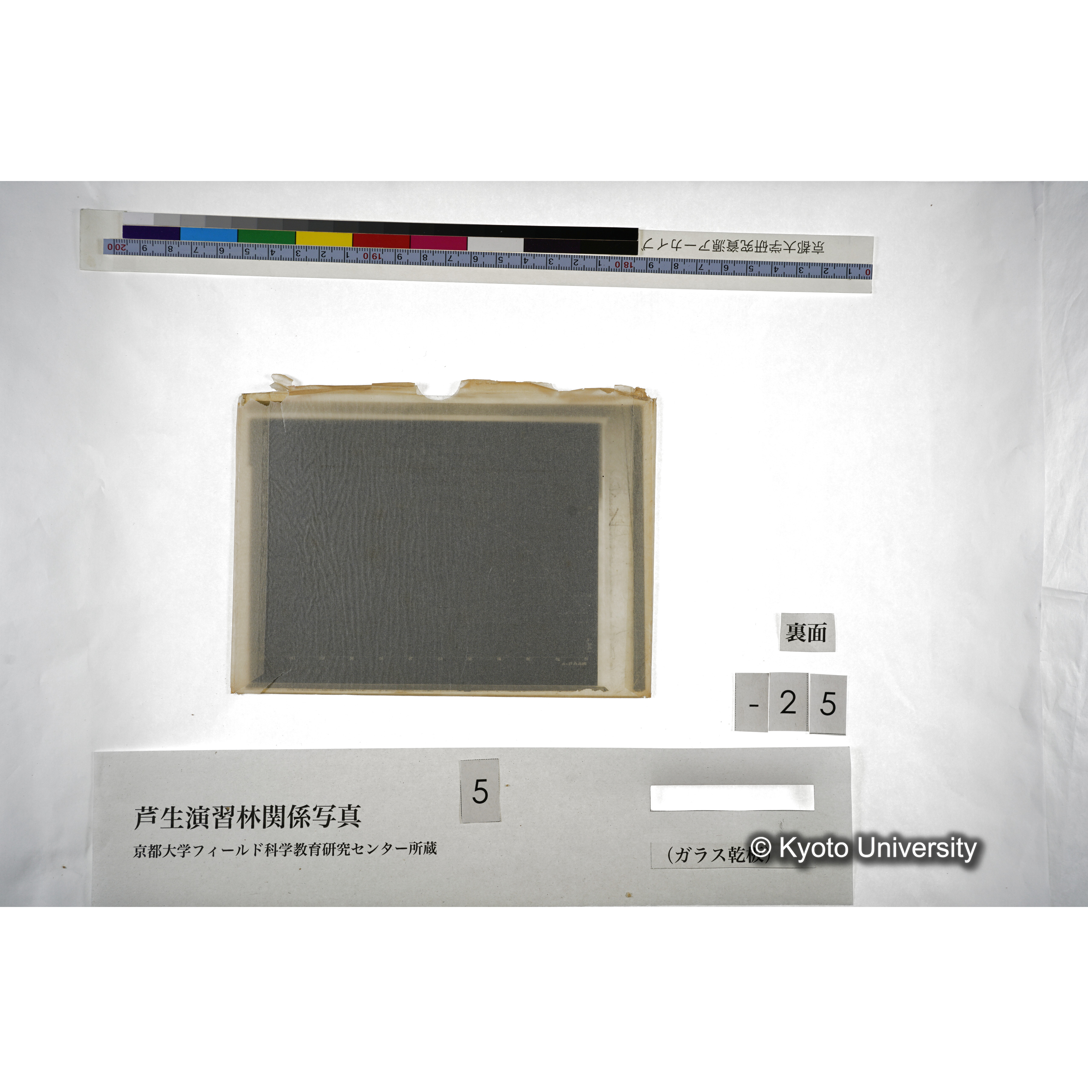 （ガラス乾板芦生柴田3-027） (4)