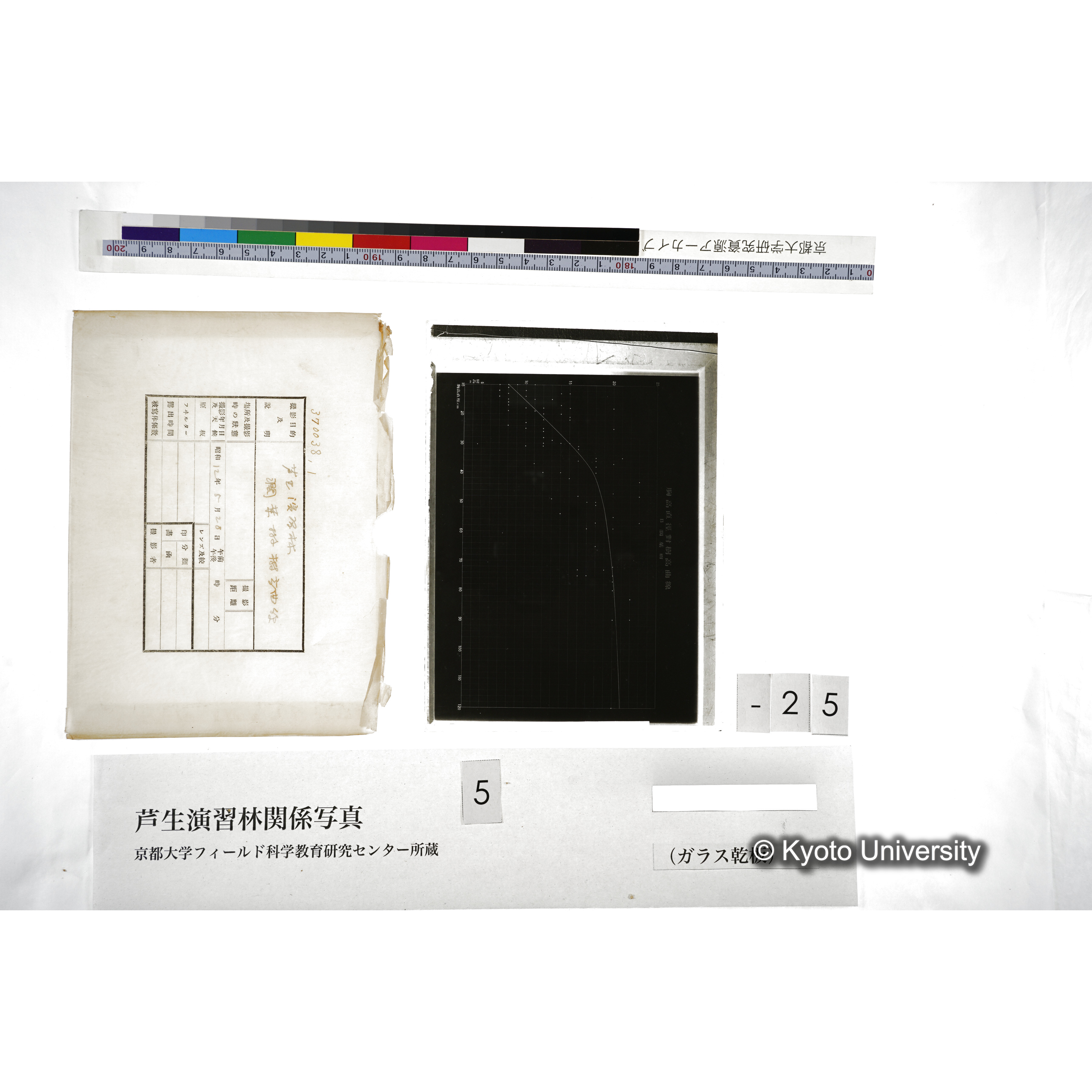 （ガラス乾板芦生柴田3-027） (5)
