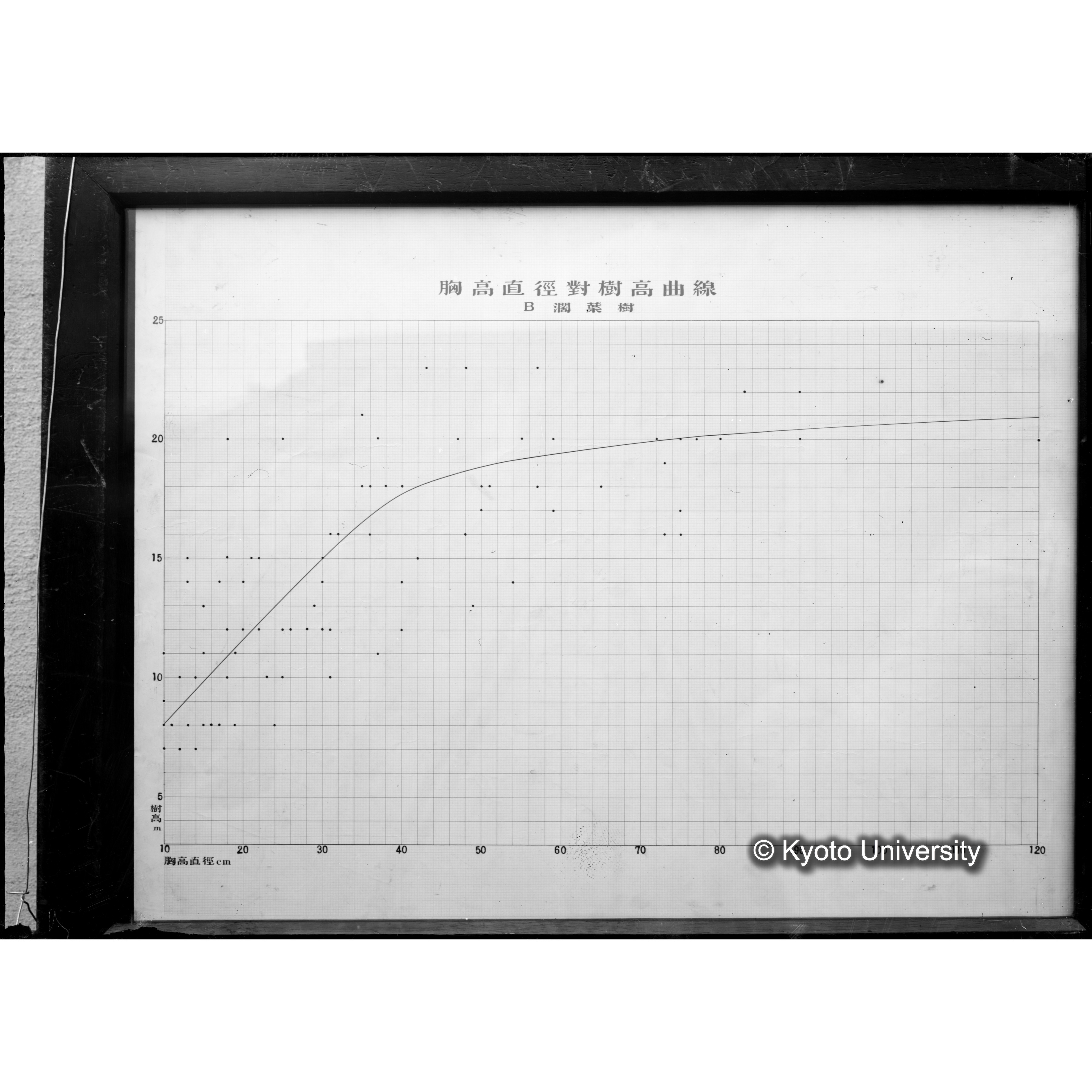 （ガラス乾板芦生柴田3-028） (1)