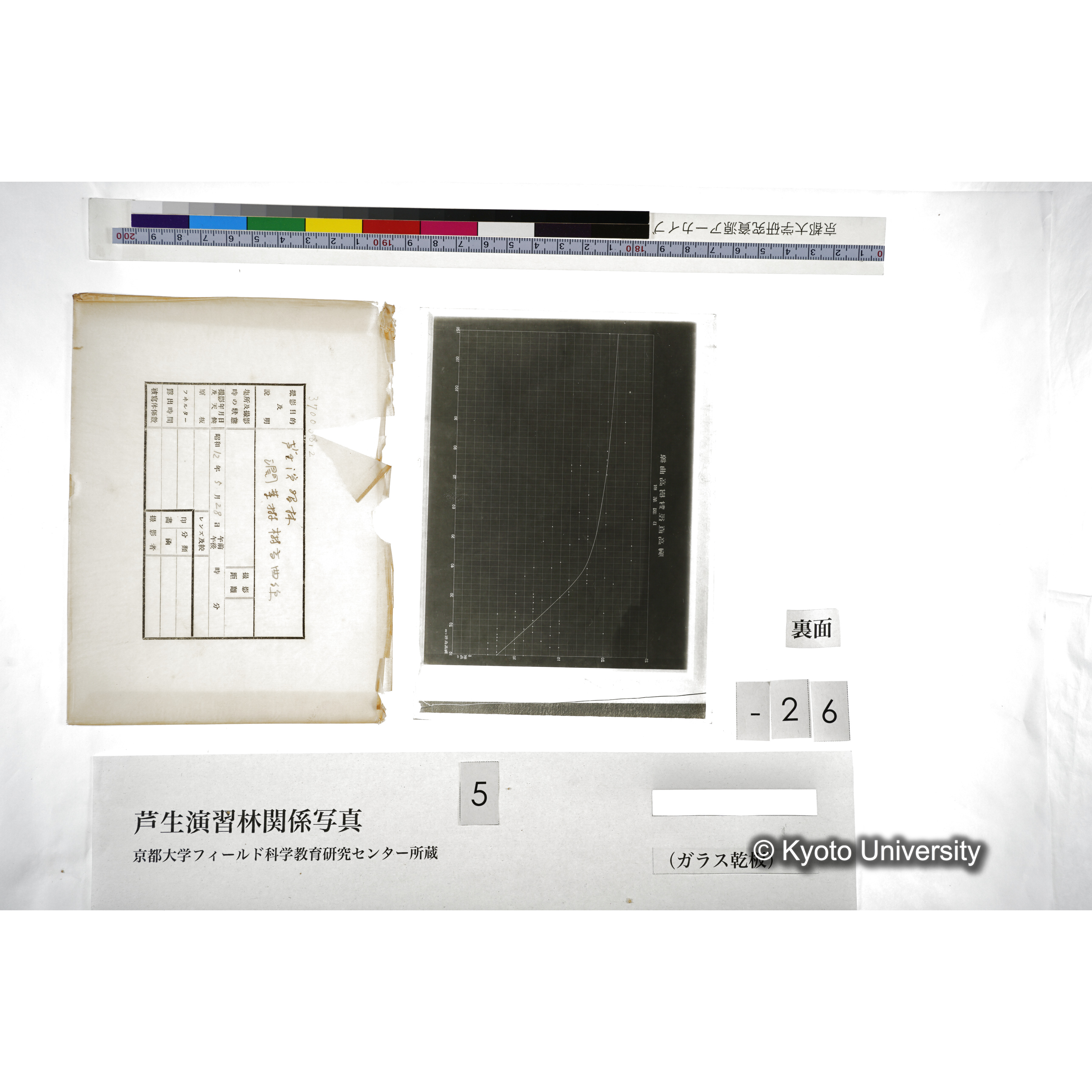 （ガラス乾板芦生柴田3-028） (2)