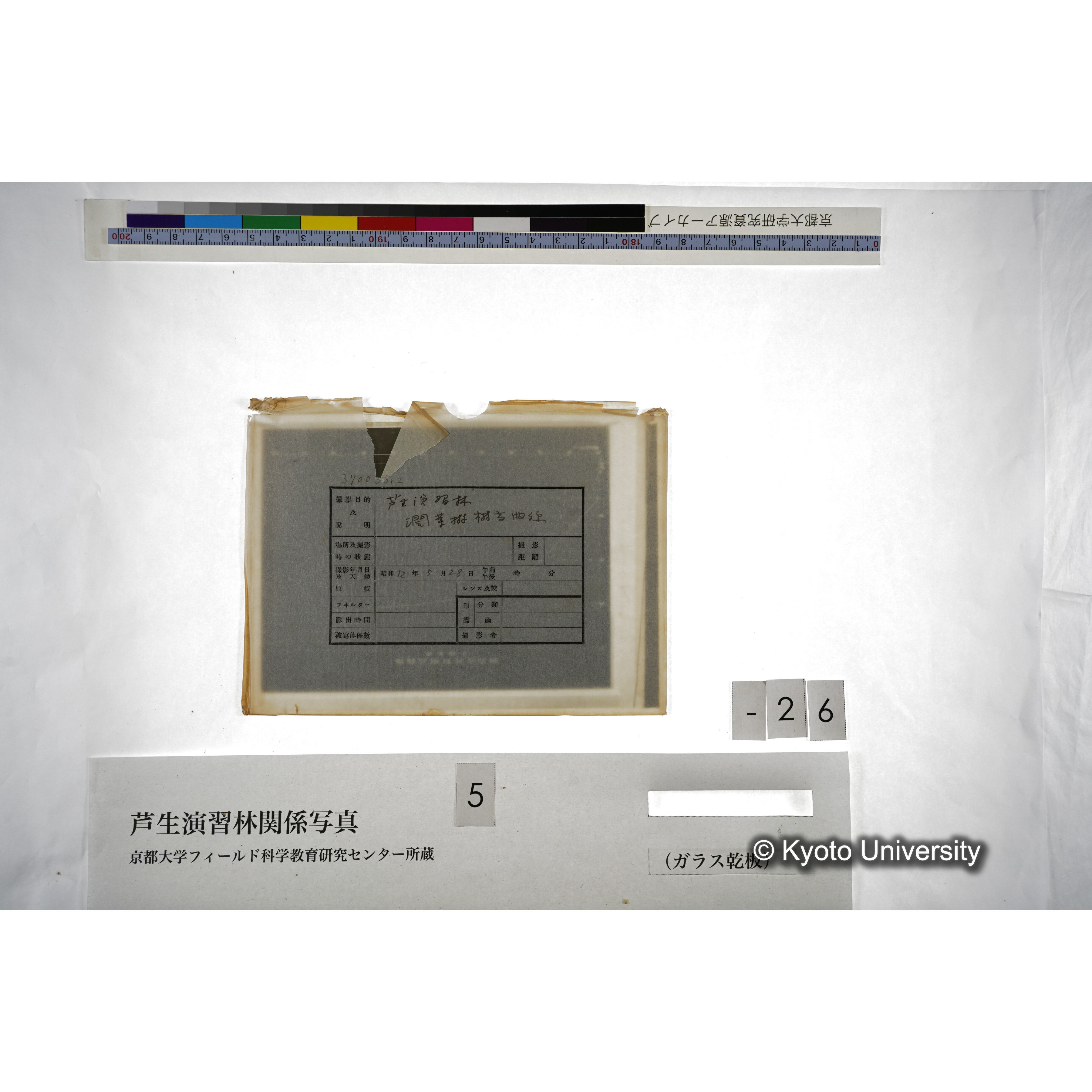 （ガラス乾板芦生柴田3-028） (4)