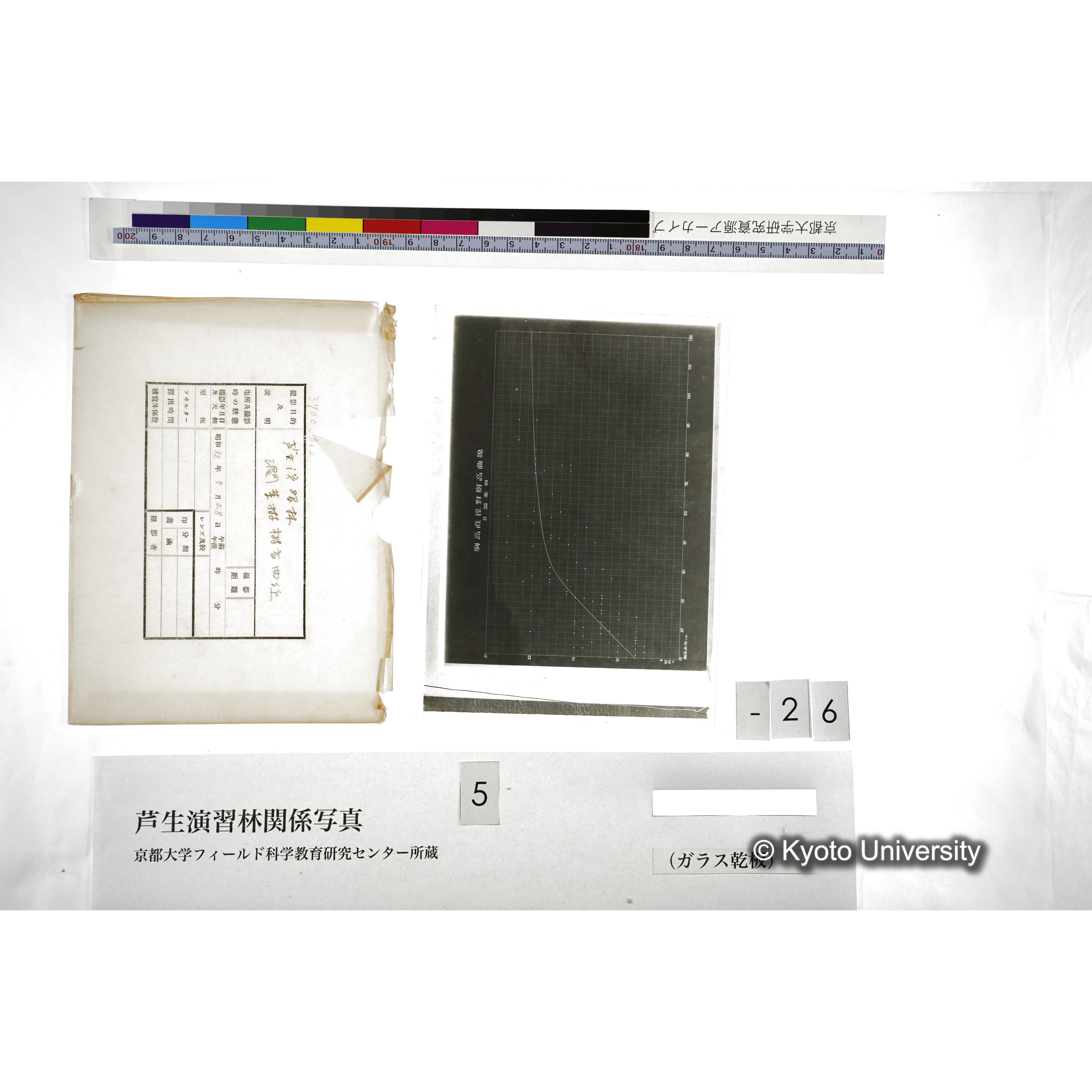 （ガラス乾板芦生柴田3-028） (5)