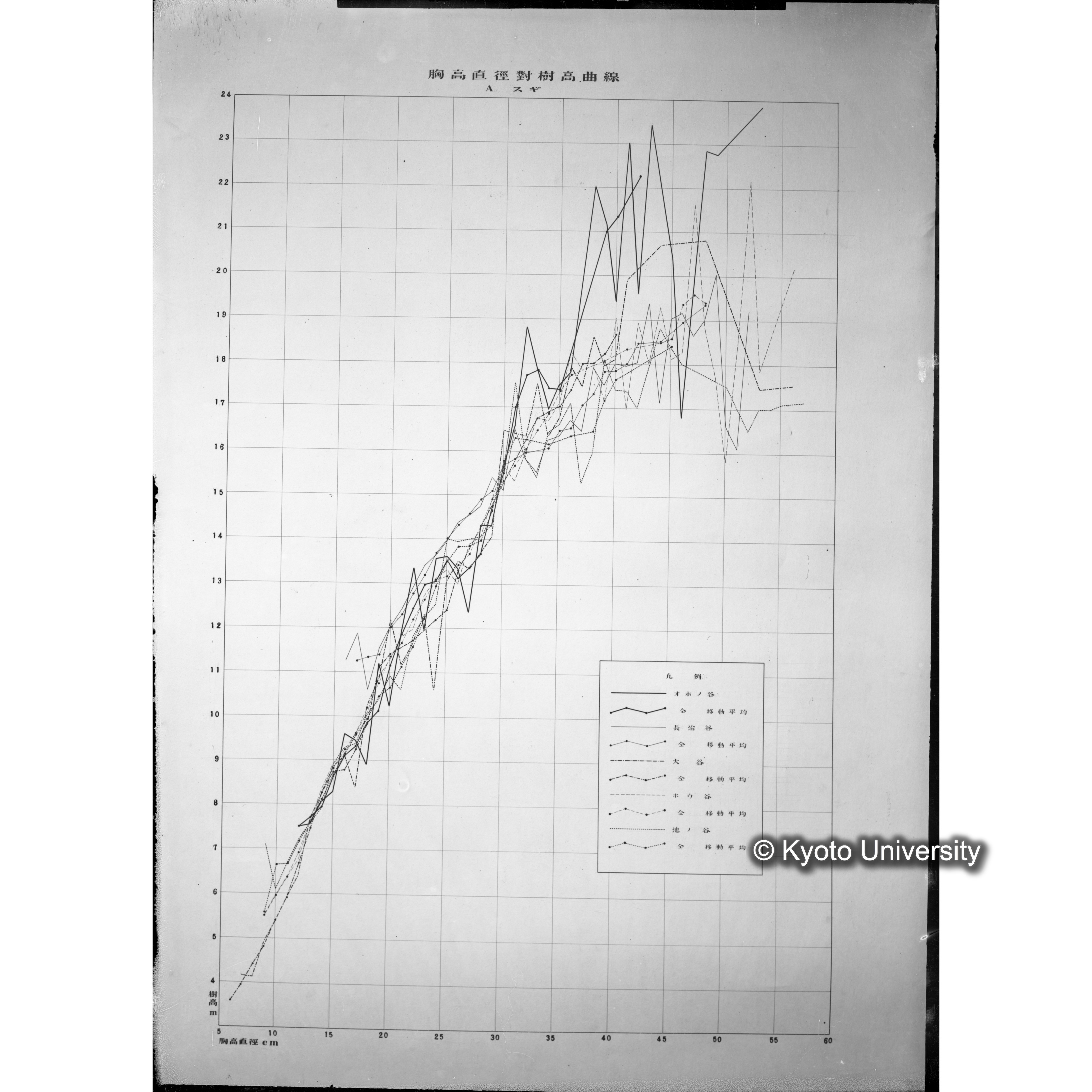 芦生演習林 スギ樹高曲線 (1)