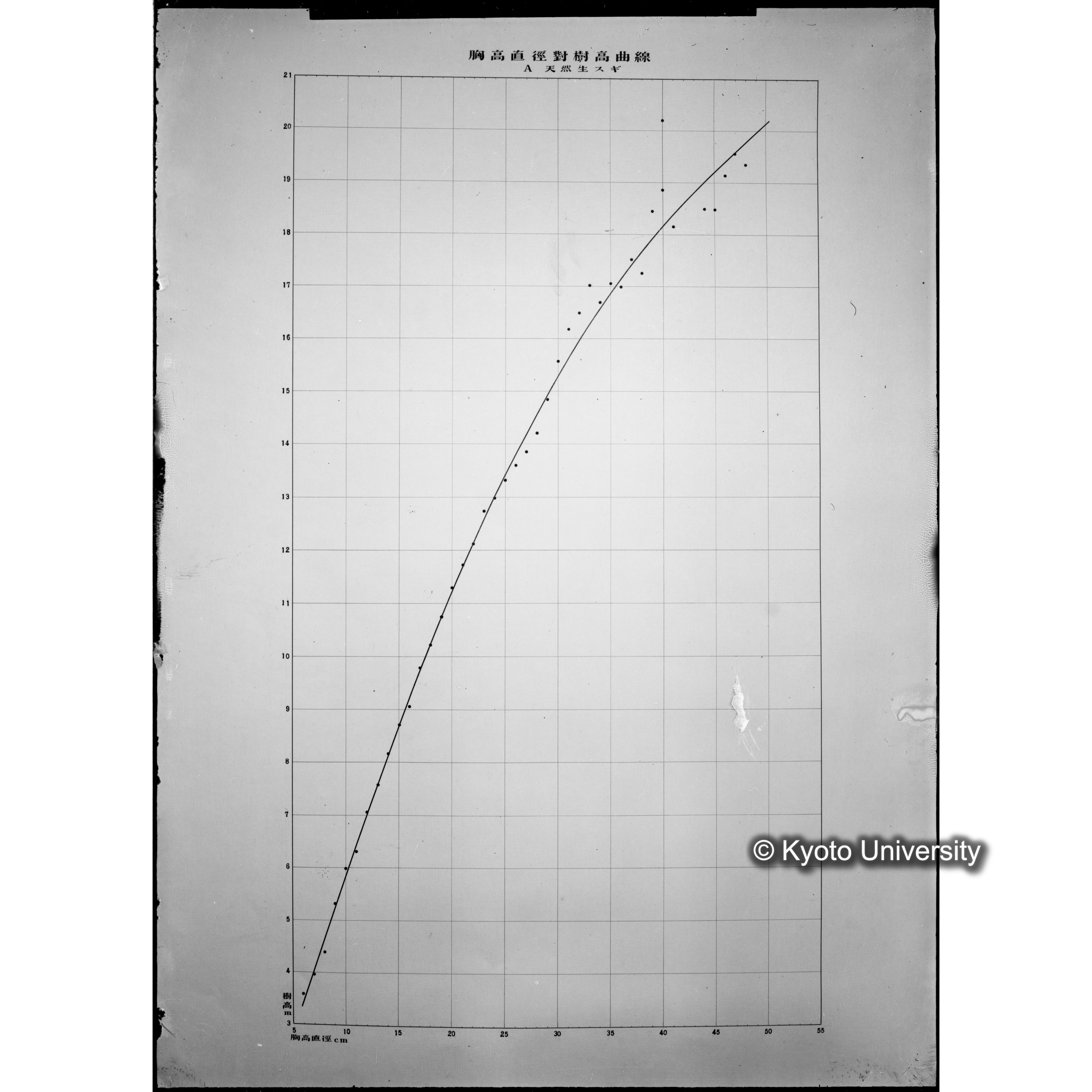 芦生演習林 スギ樹高曲線 (1)