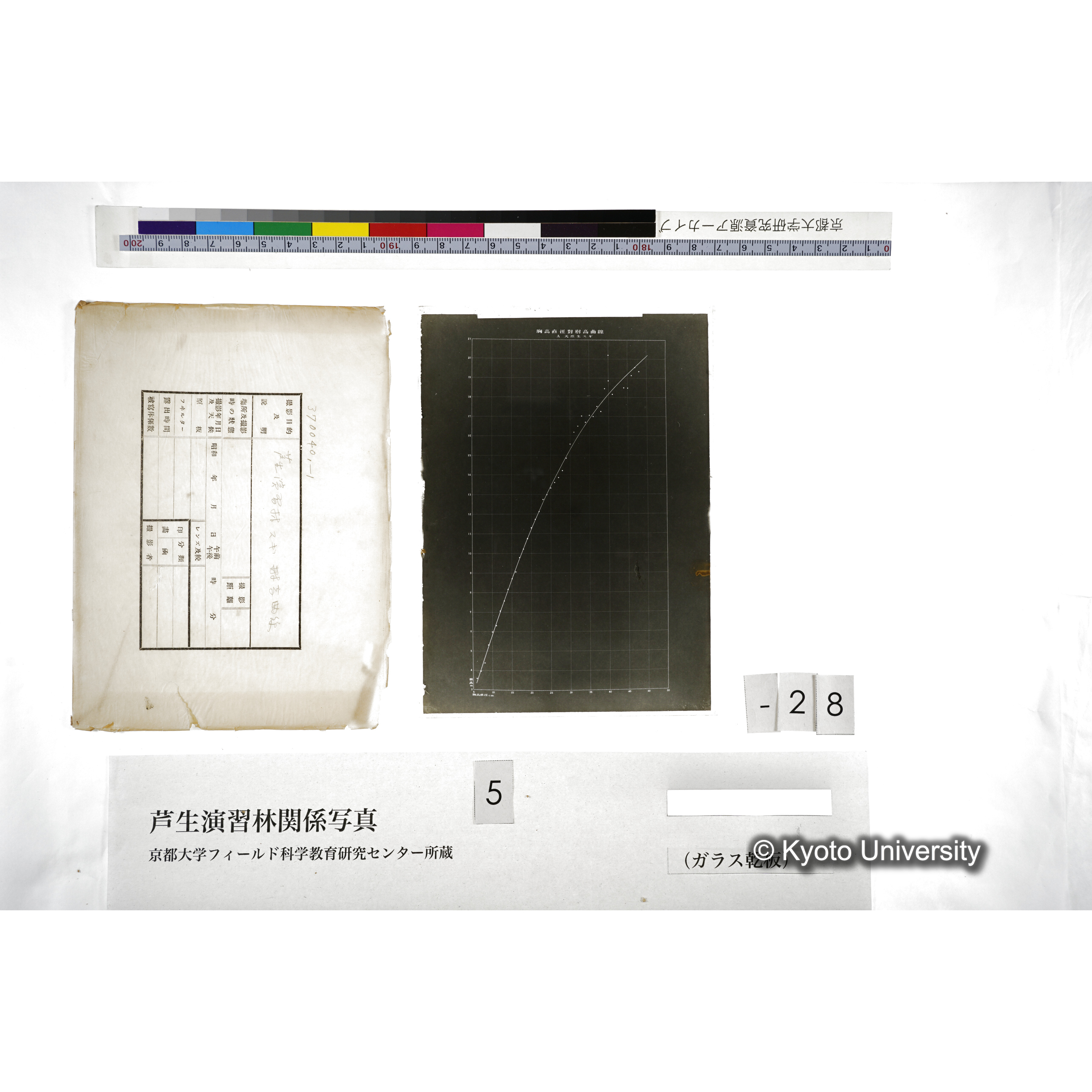 芦生演習林 スギ樹高曲線 (5)