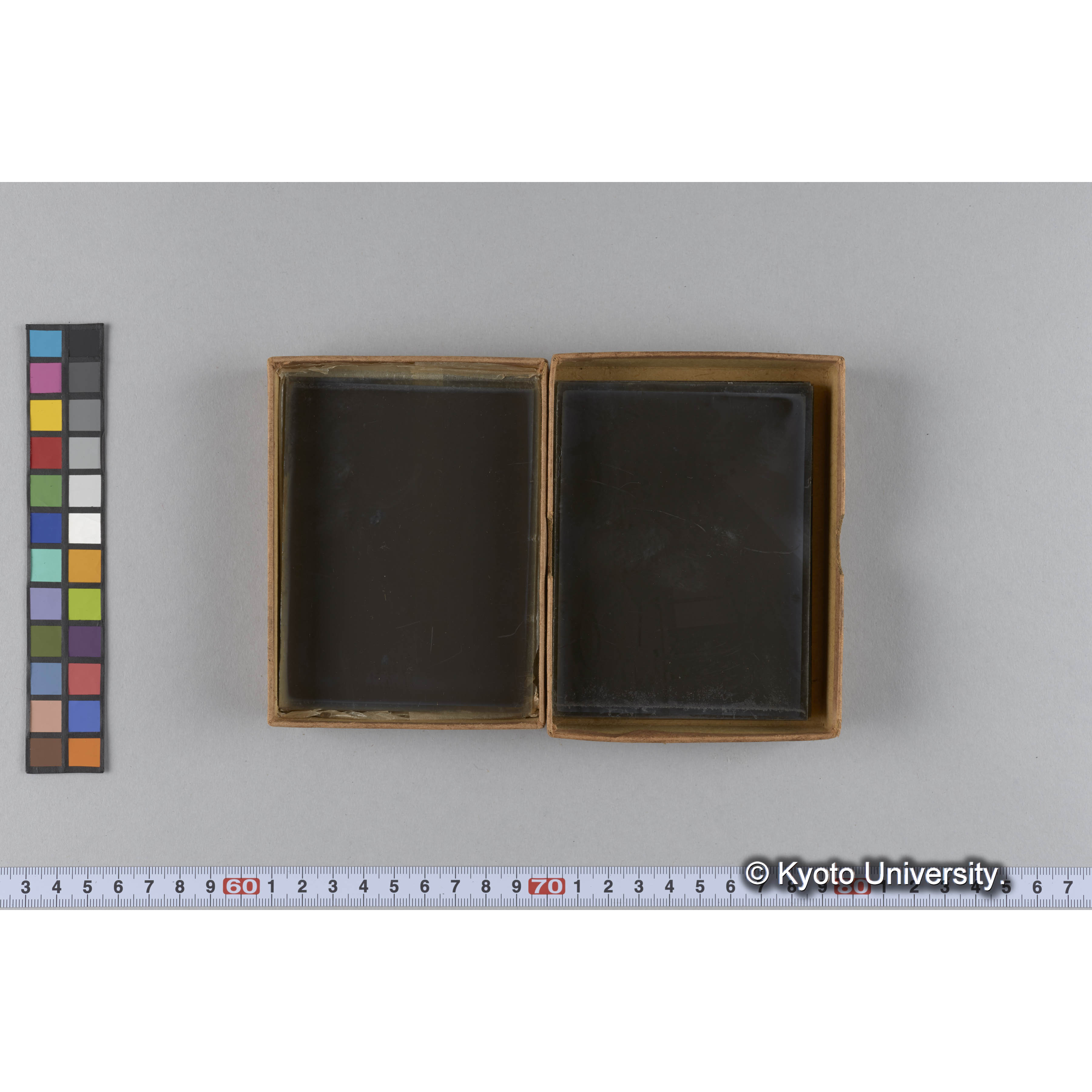 ガラス乾板B (10)