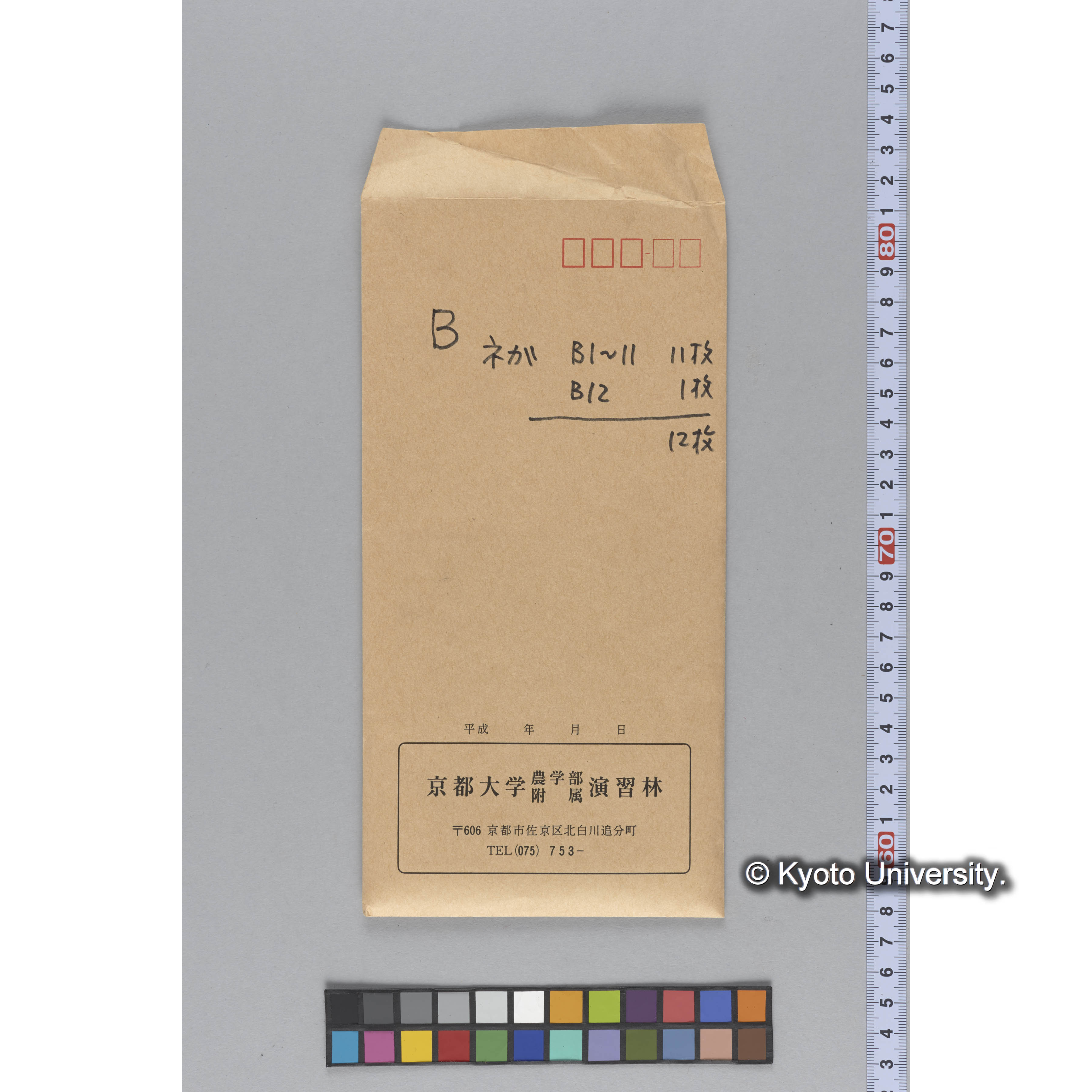 ガラス乾板B (17)