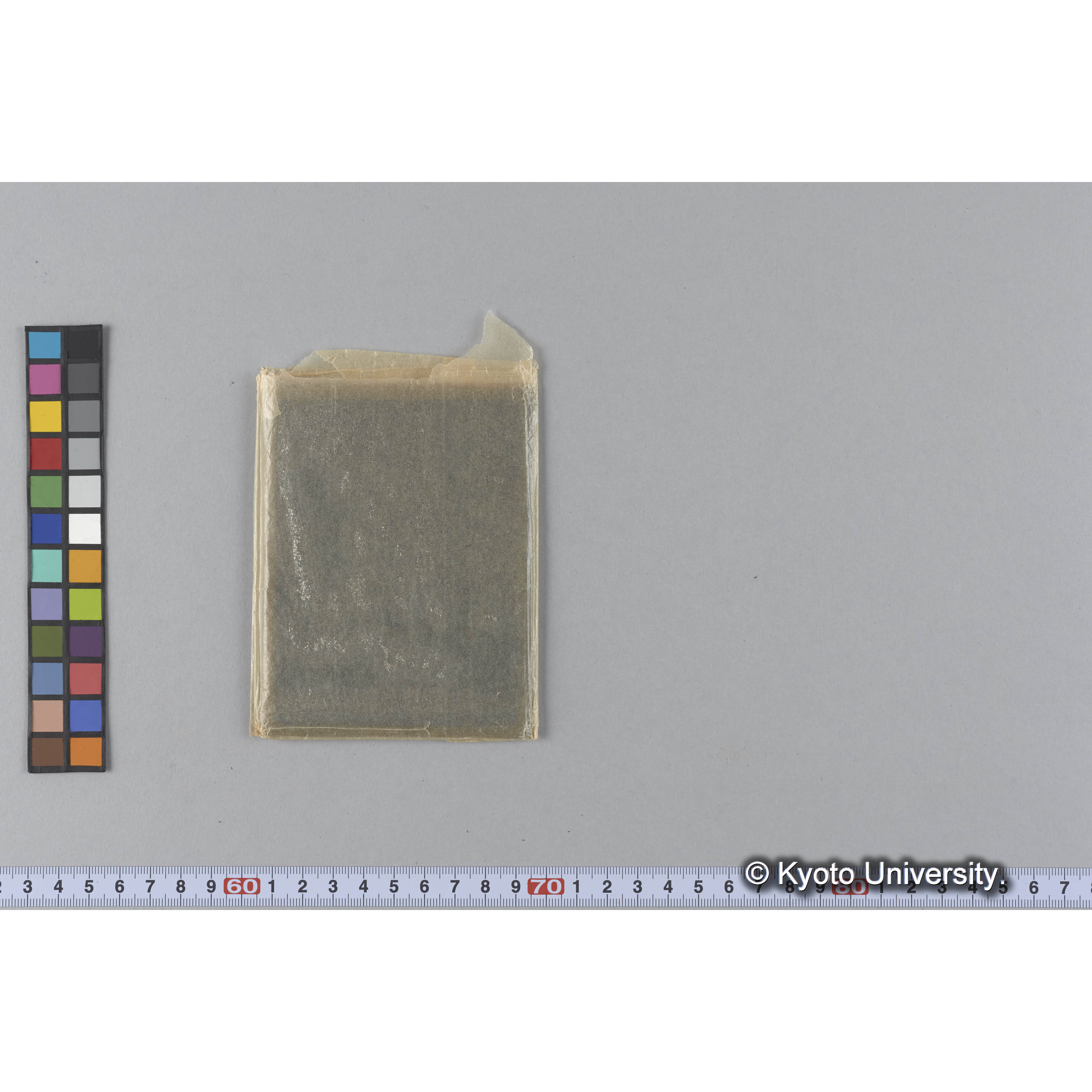 ガラス乾板B (19)