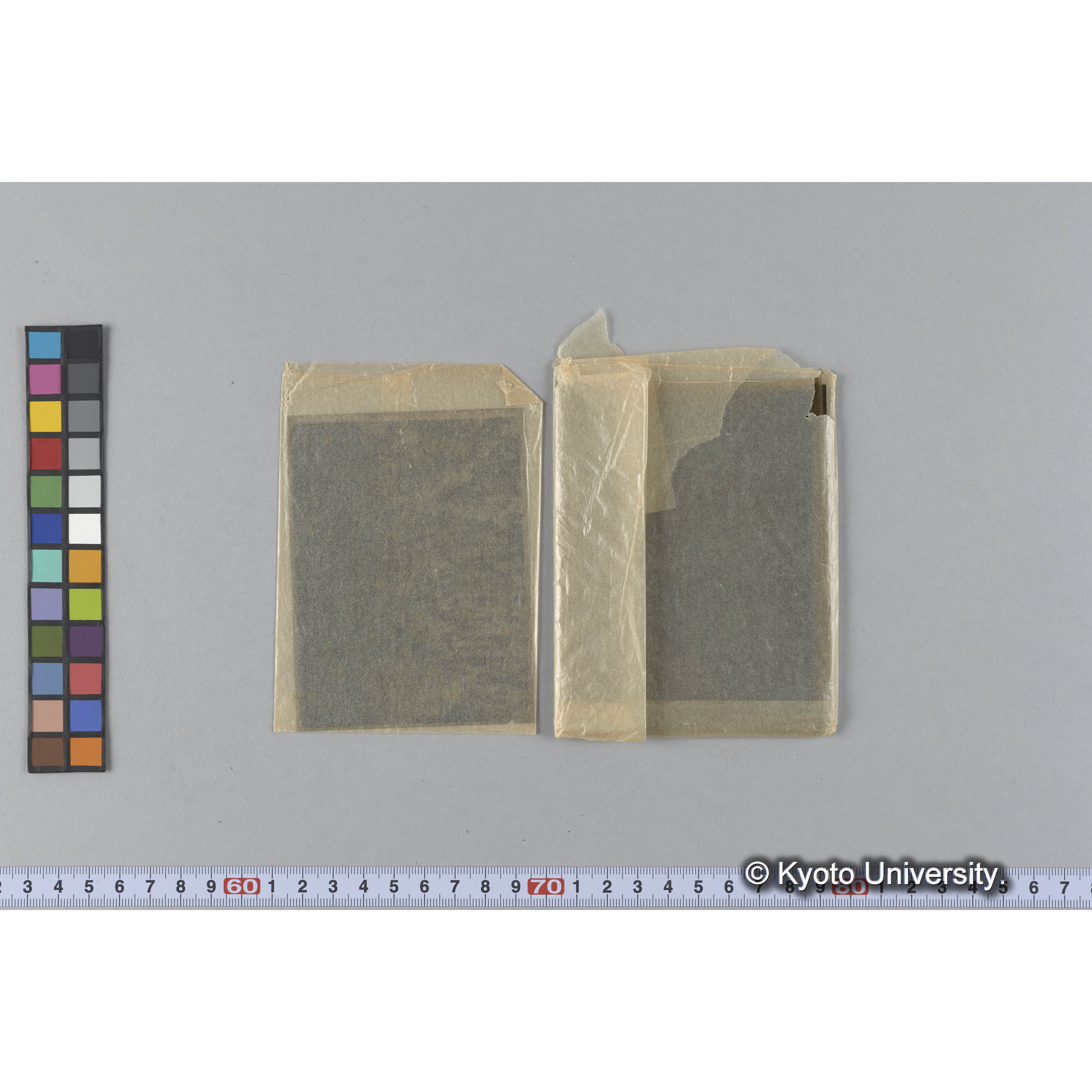 ガラス乾板B (20)