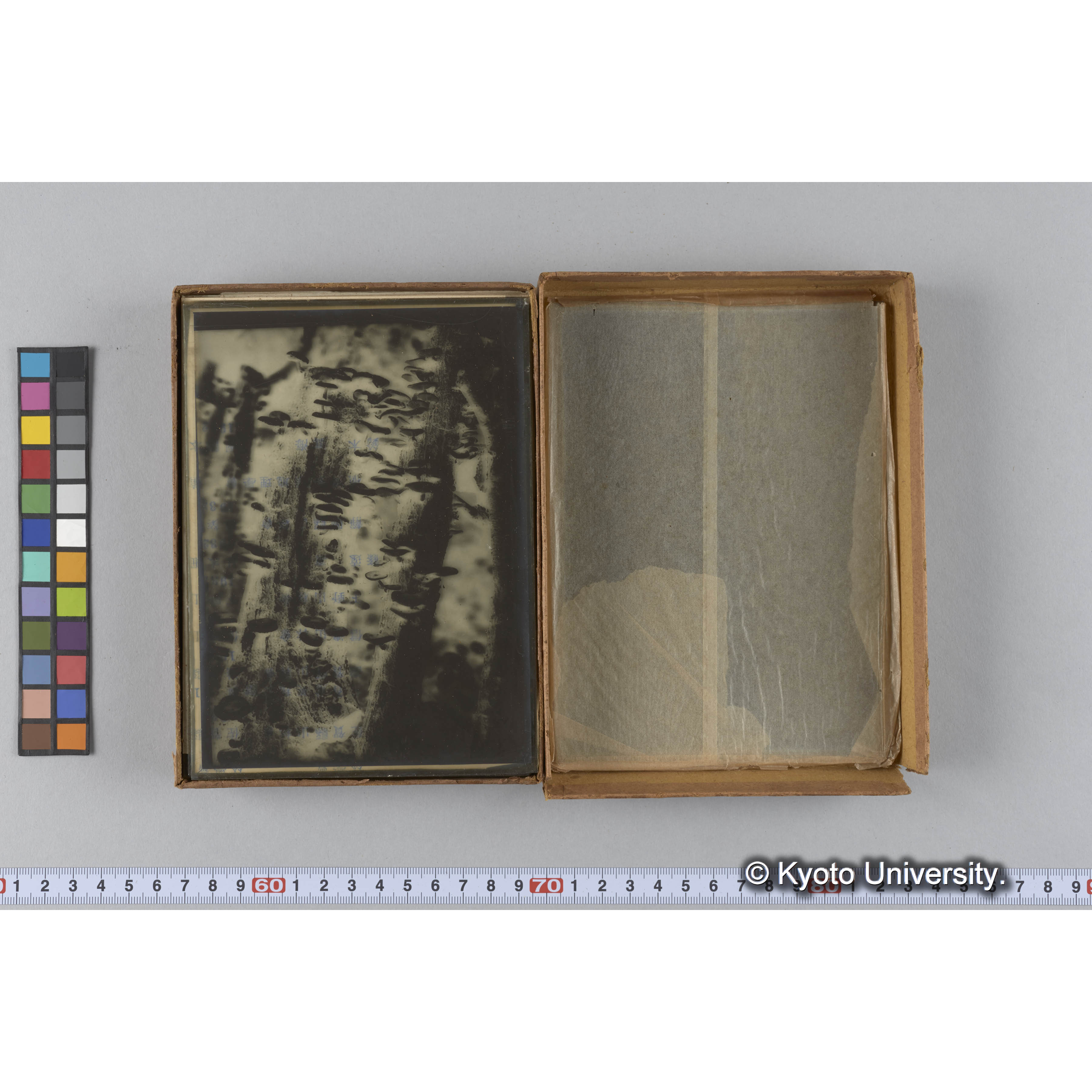 ガラス乾板朝鮮1 (6)