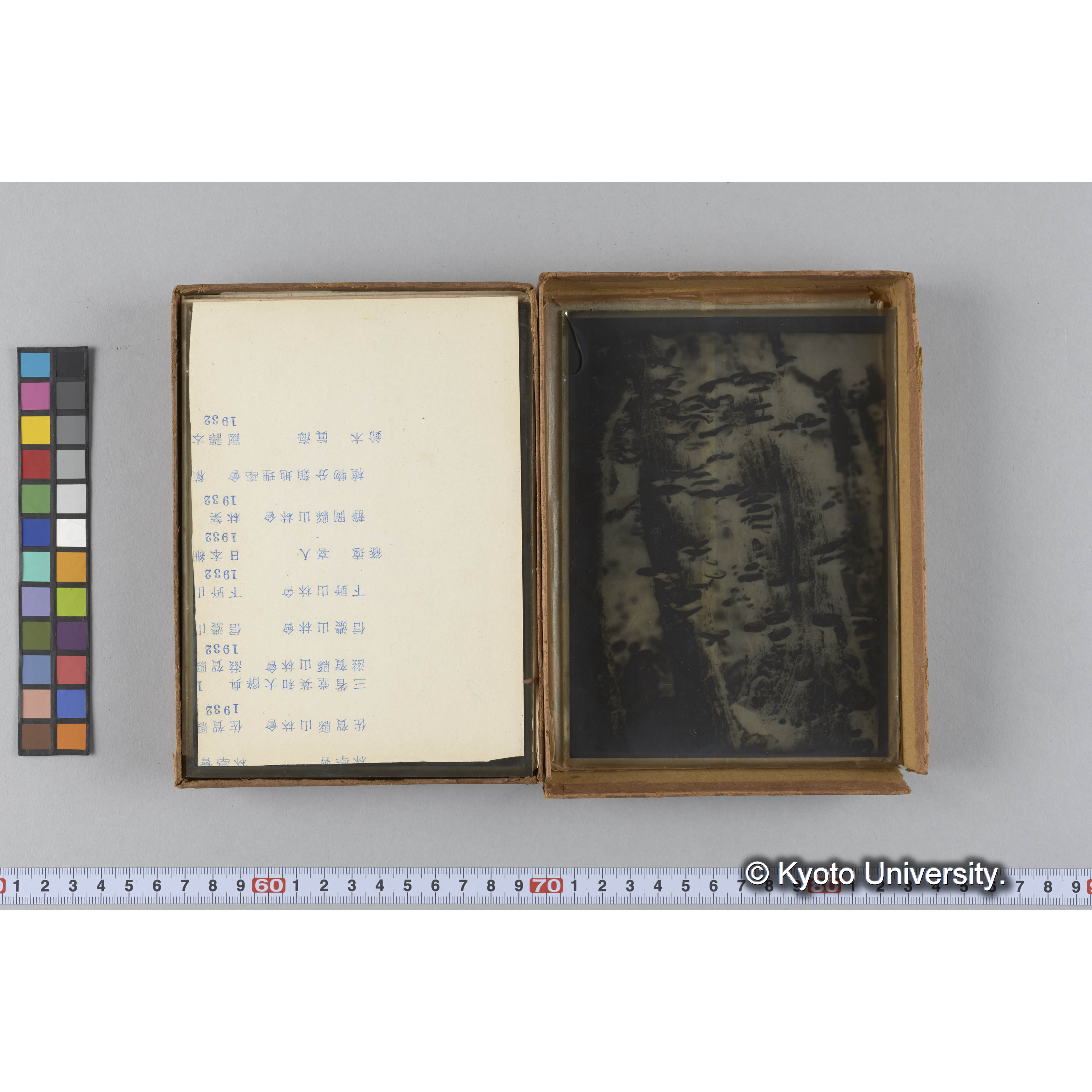 ガラス乾板朝鮮1 (7)