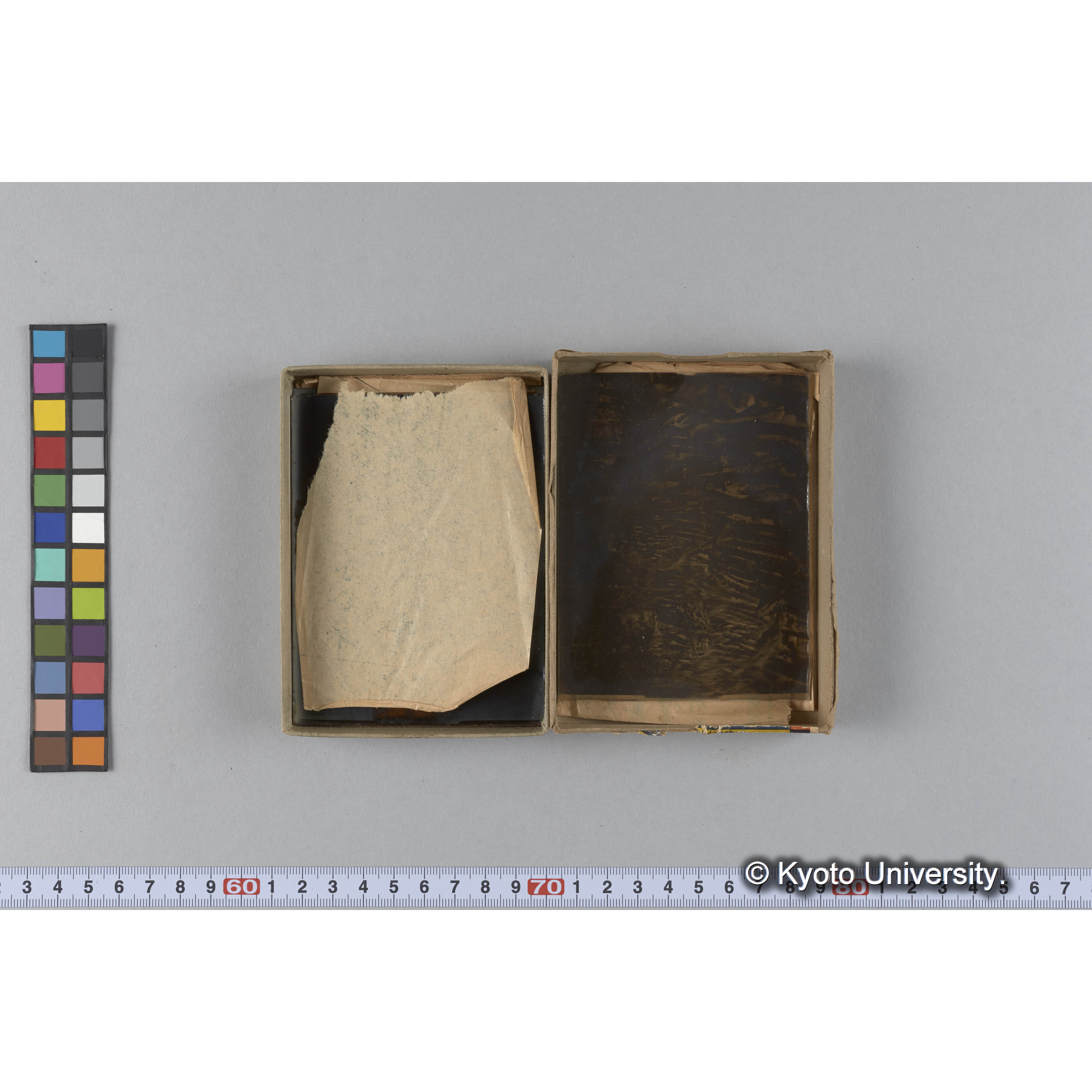 ガラス乾板D (5)