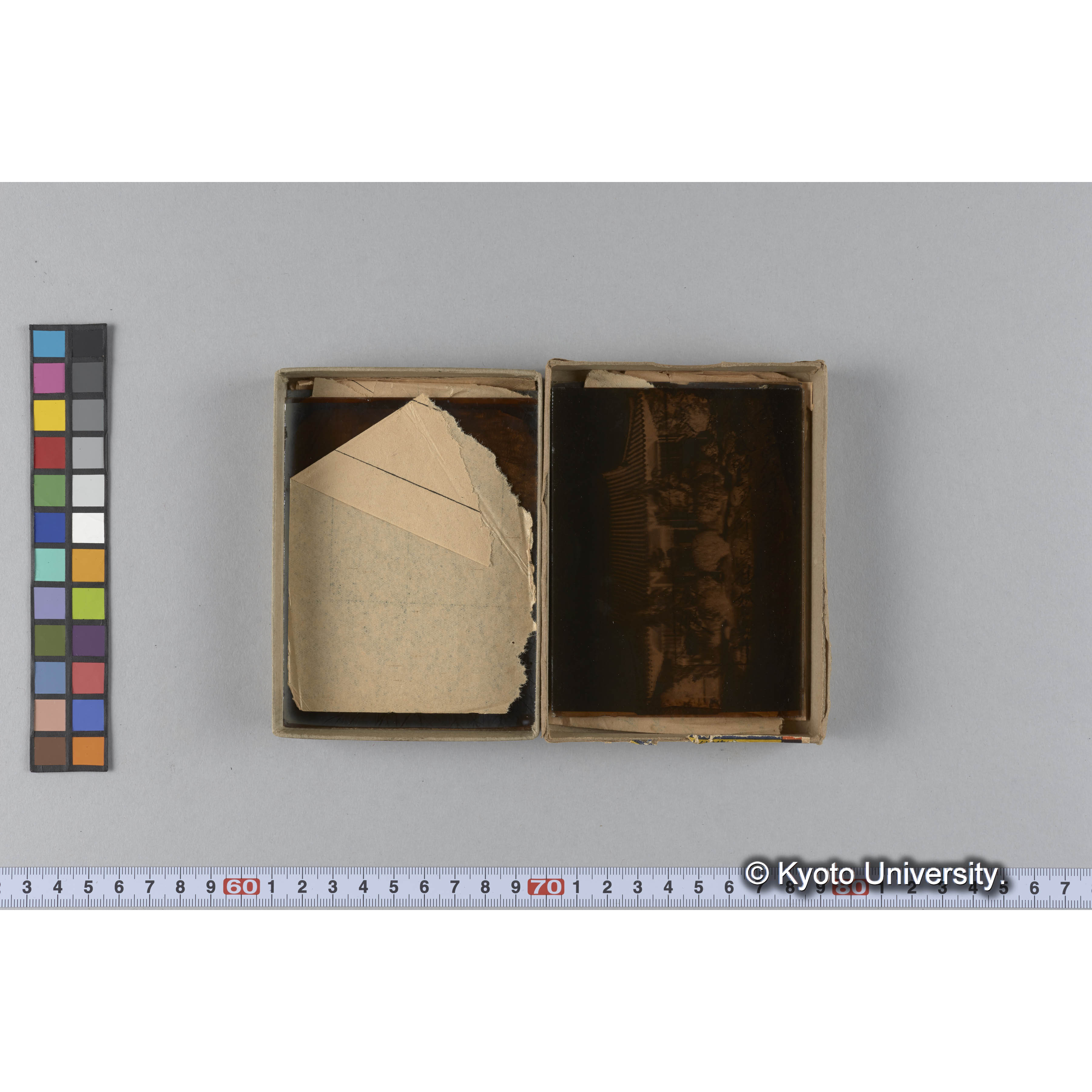 ガラス乾板D (7)