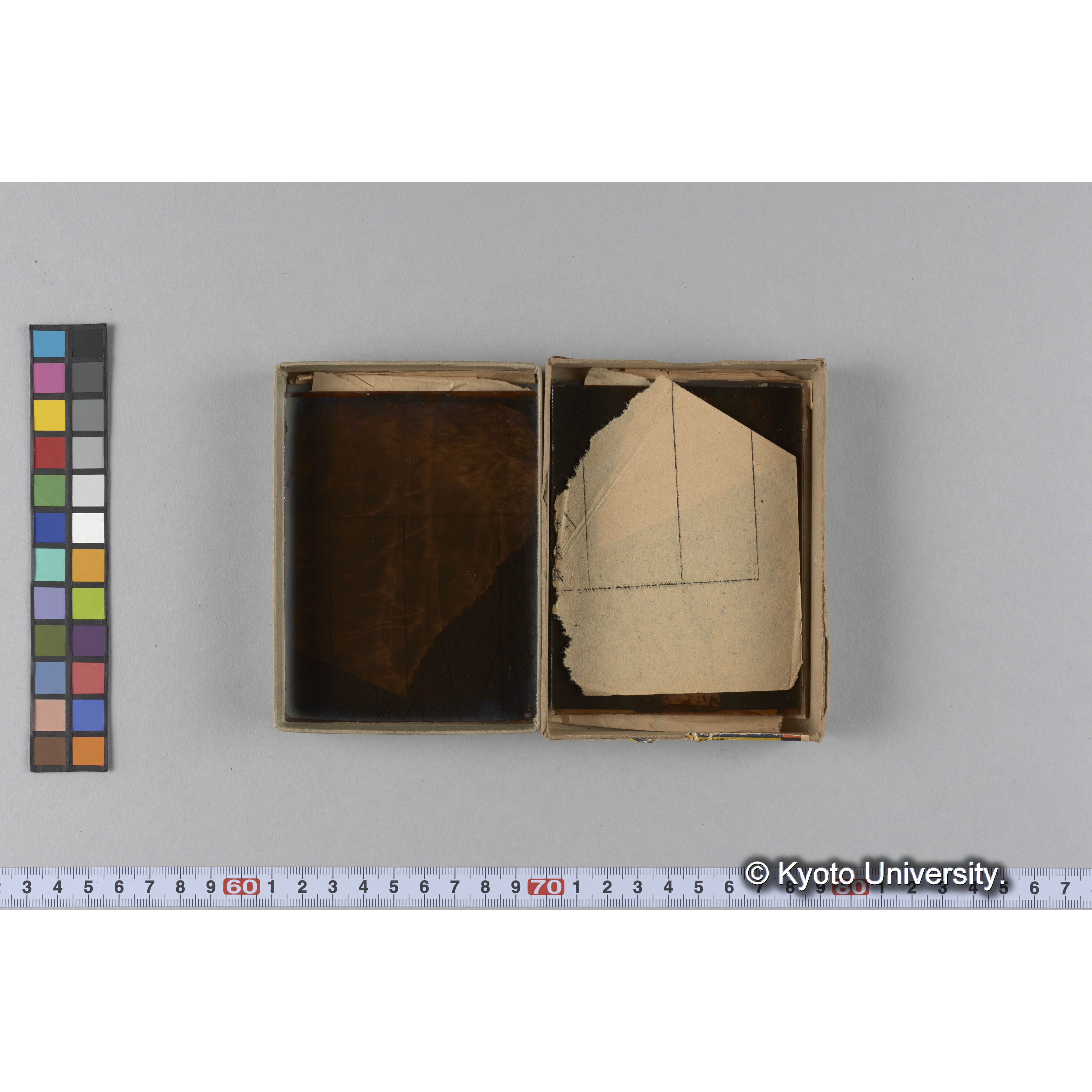 ガラス乾板D (8)