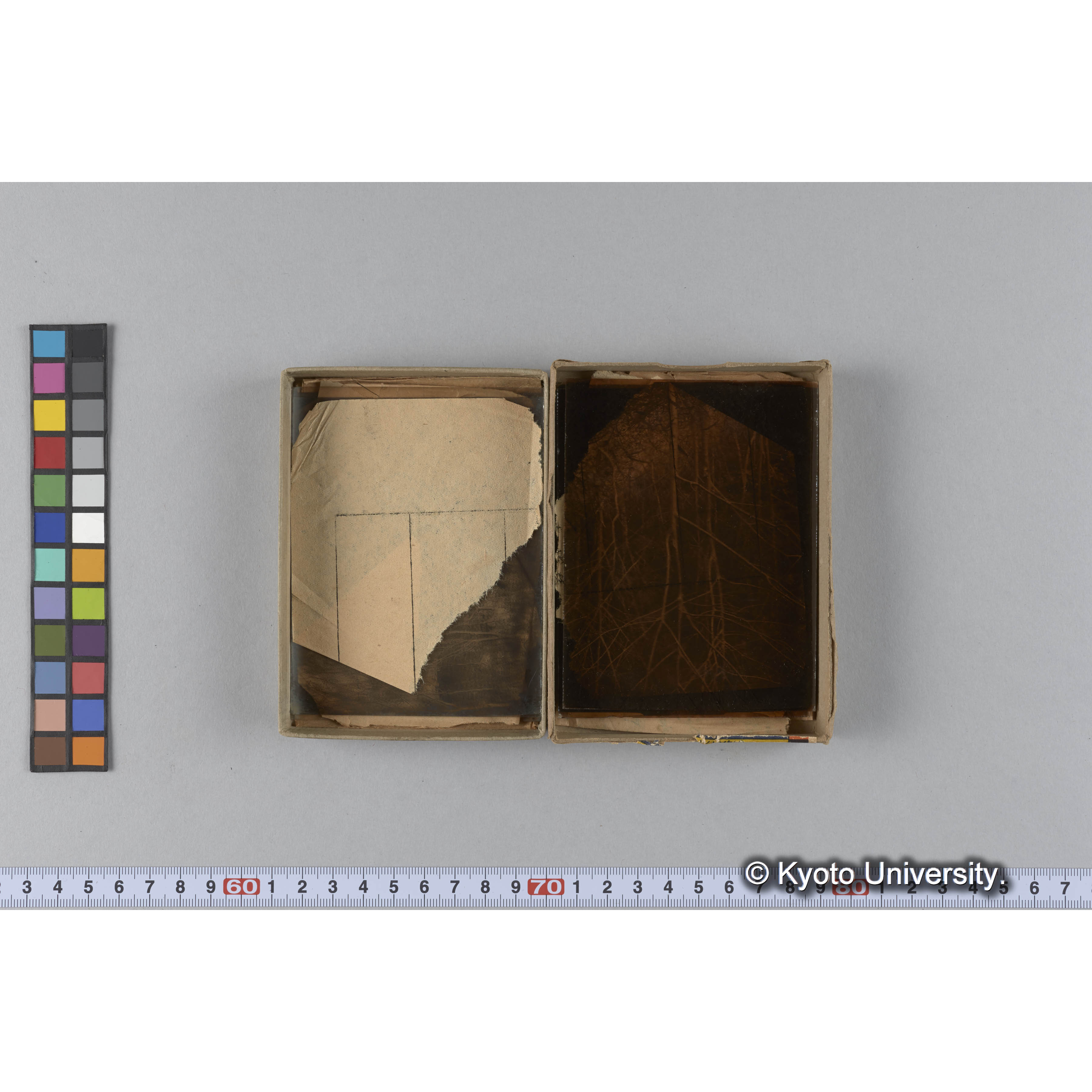 ガラス乾板D (9)