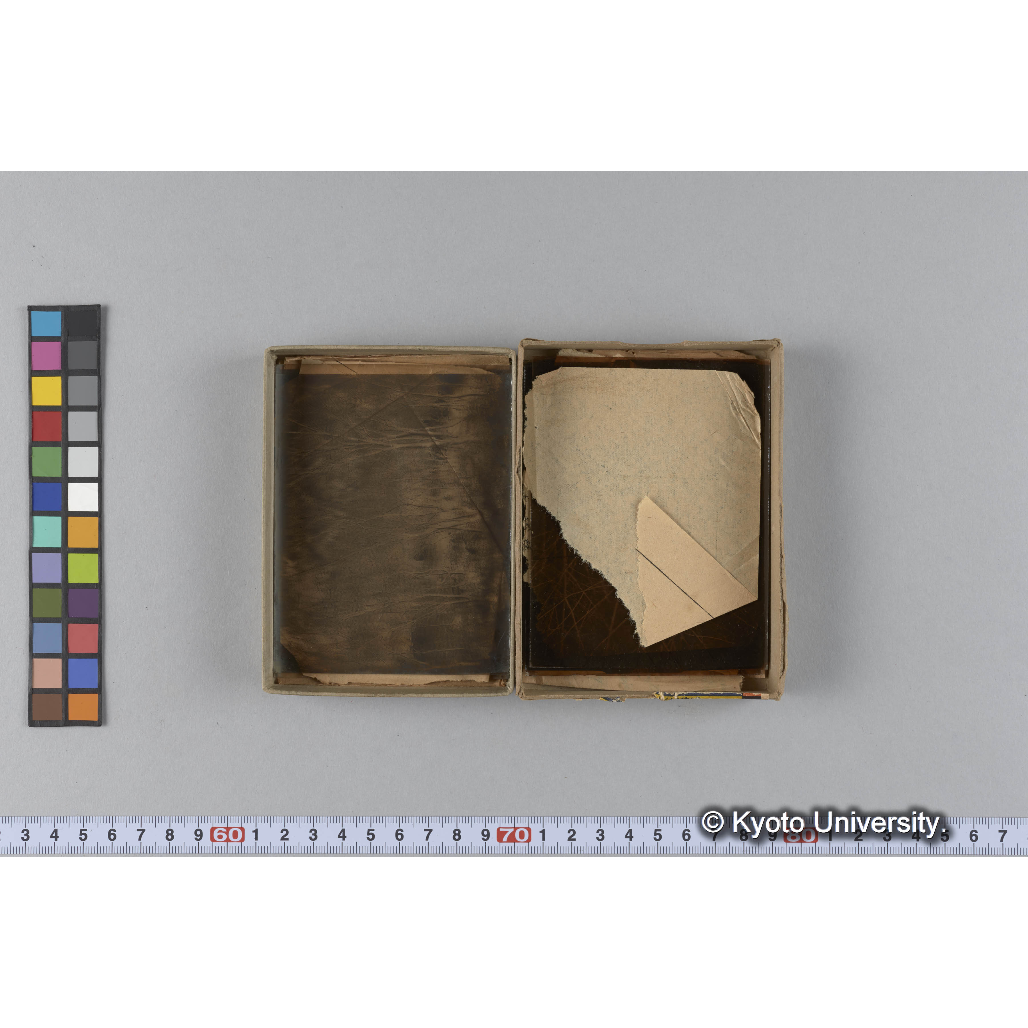 ガラス乾板D (10)