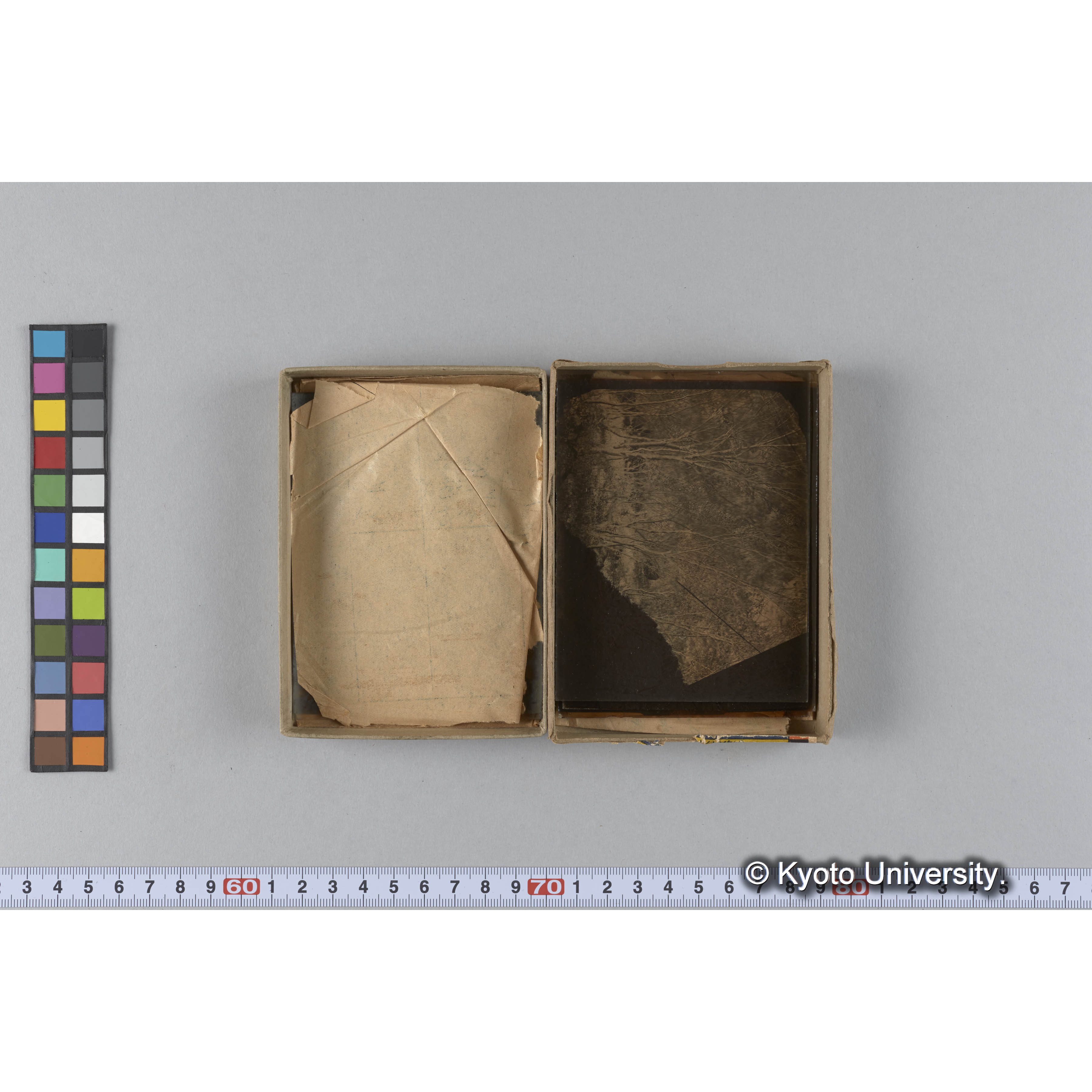 ガラス乾板D (11)