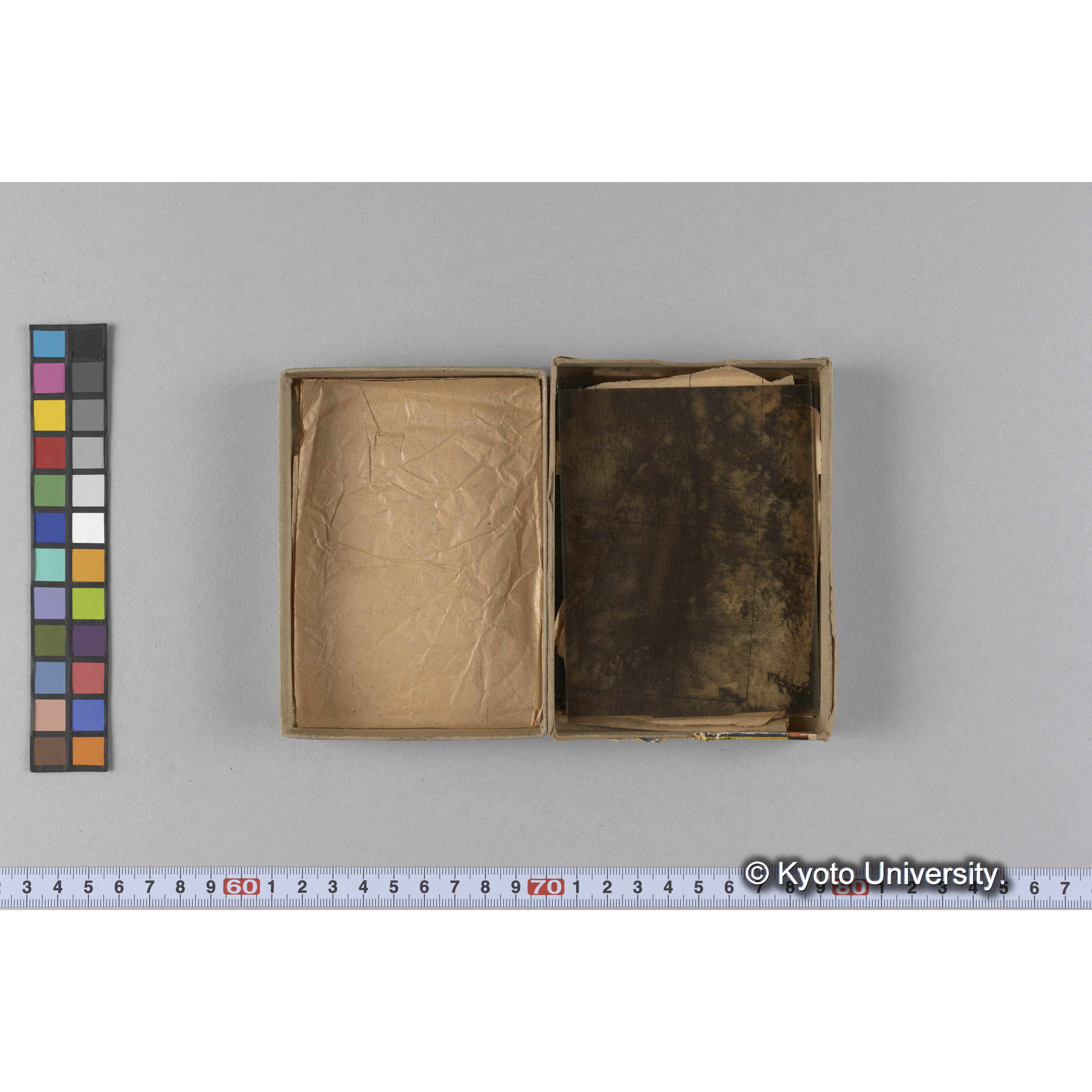 ガラス乾板D (13)