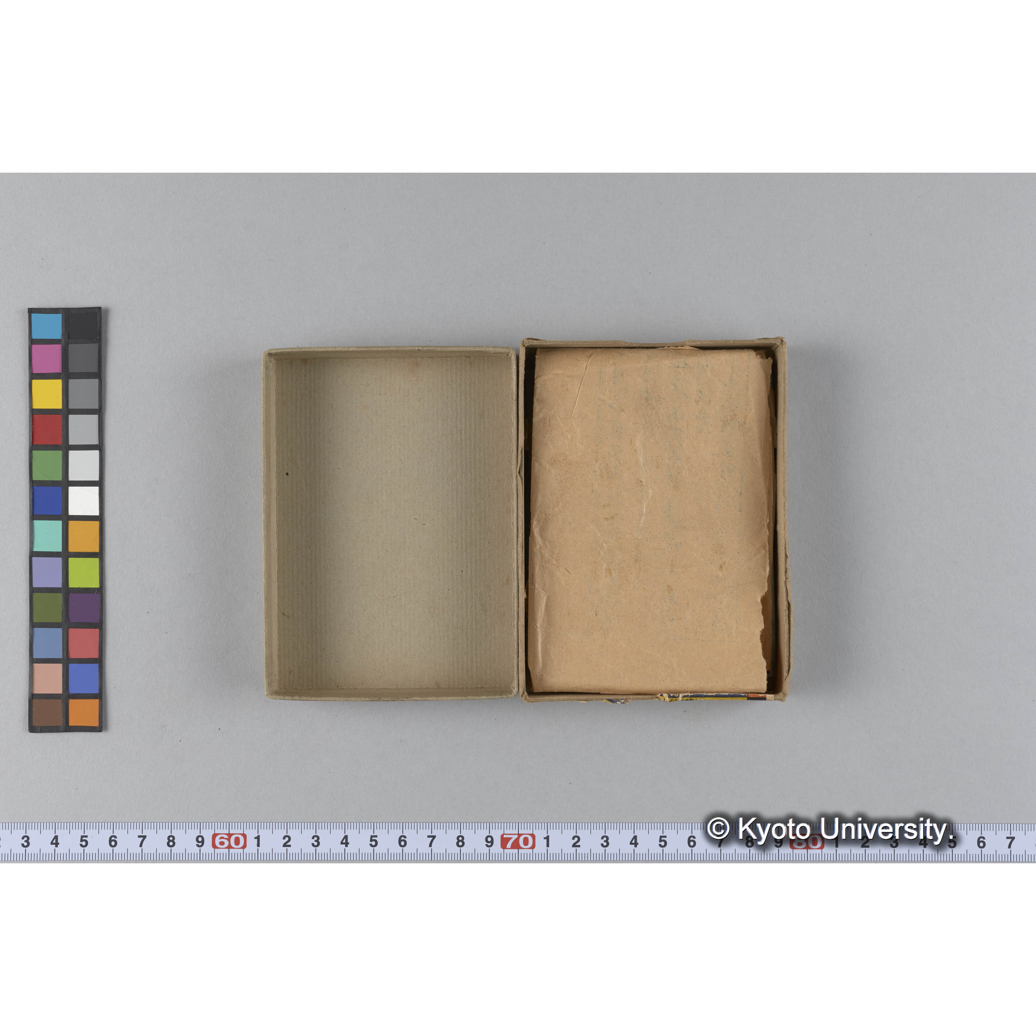 ガラス乾板D (15)