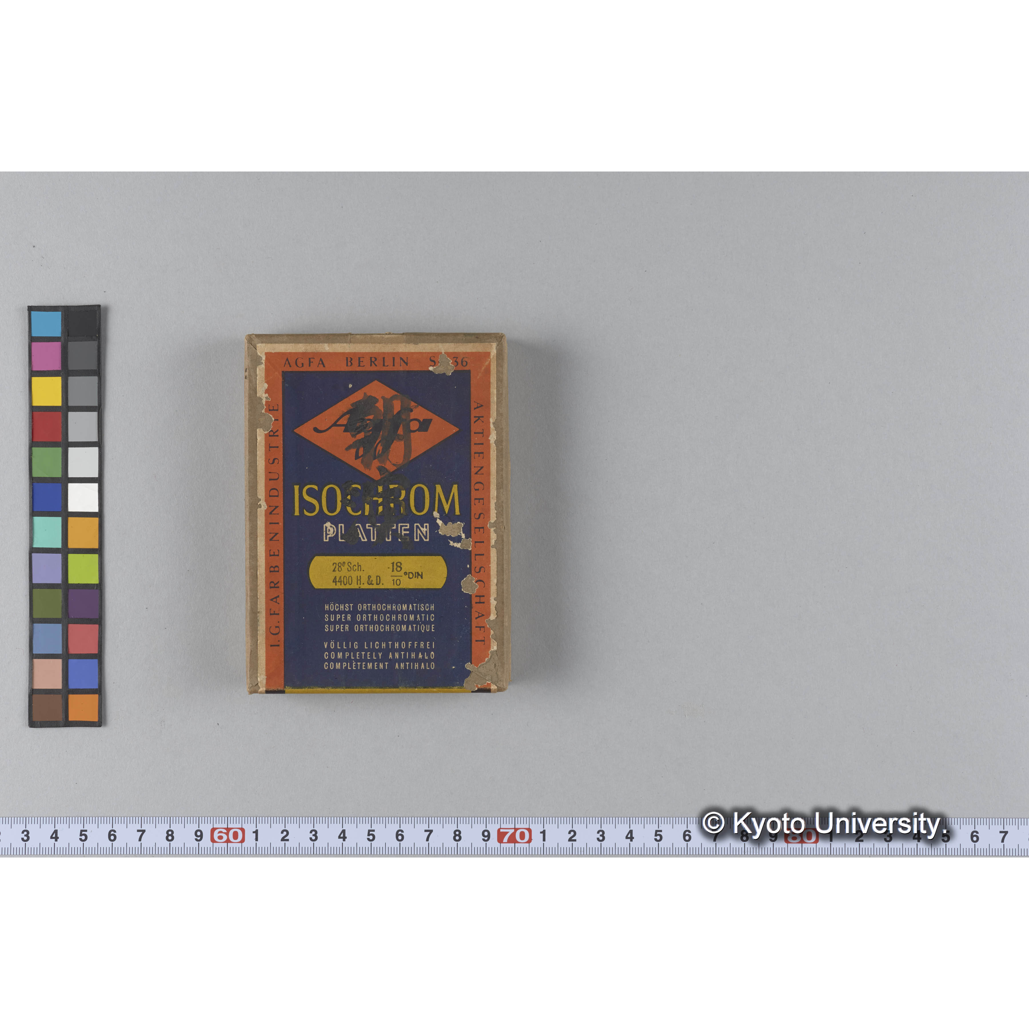 ガラス乾板D (17)