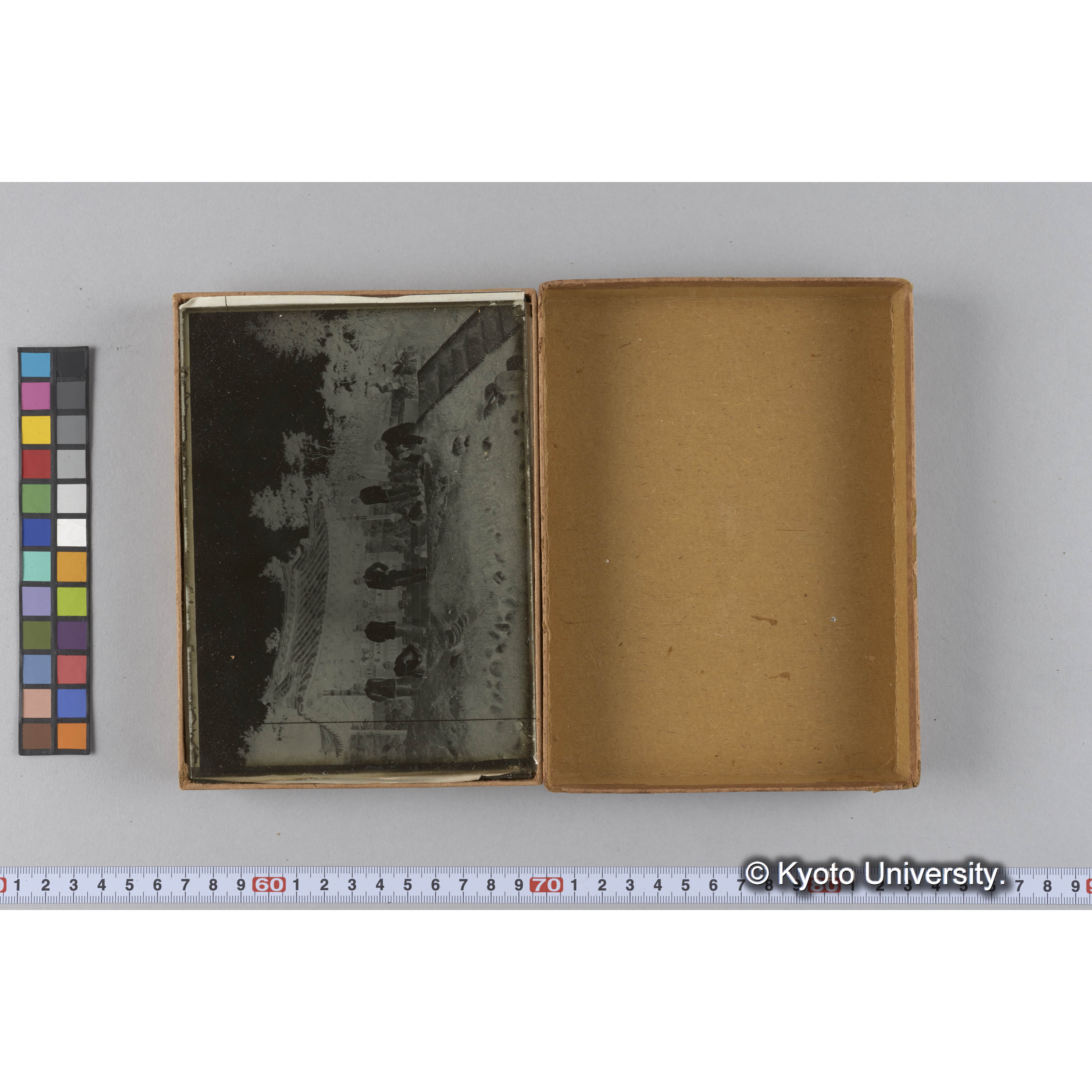 ガラス乾板F (3)