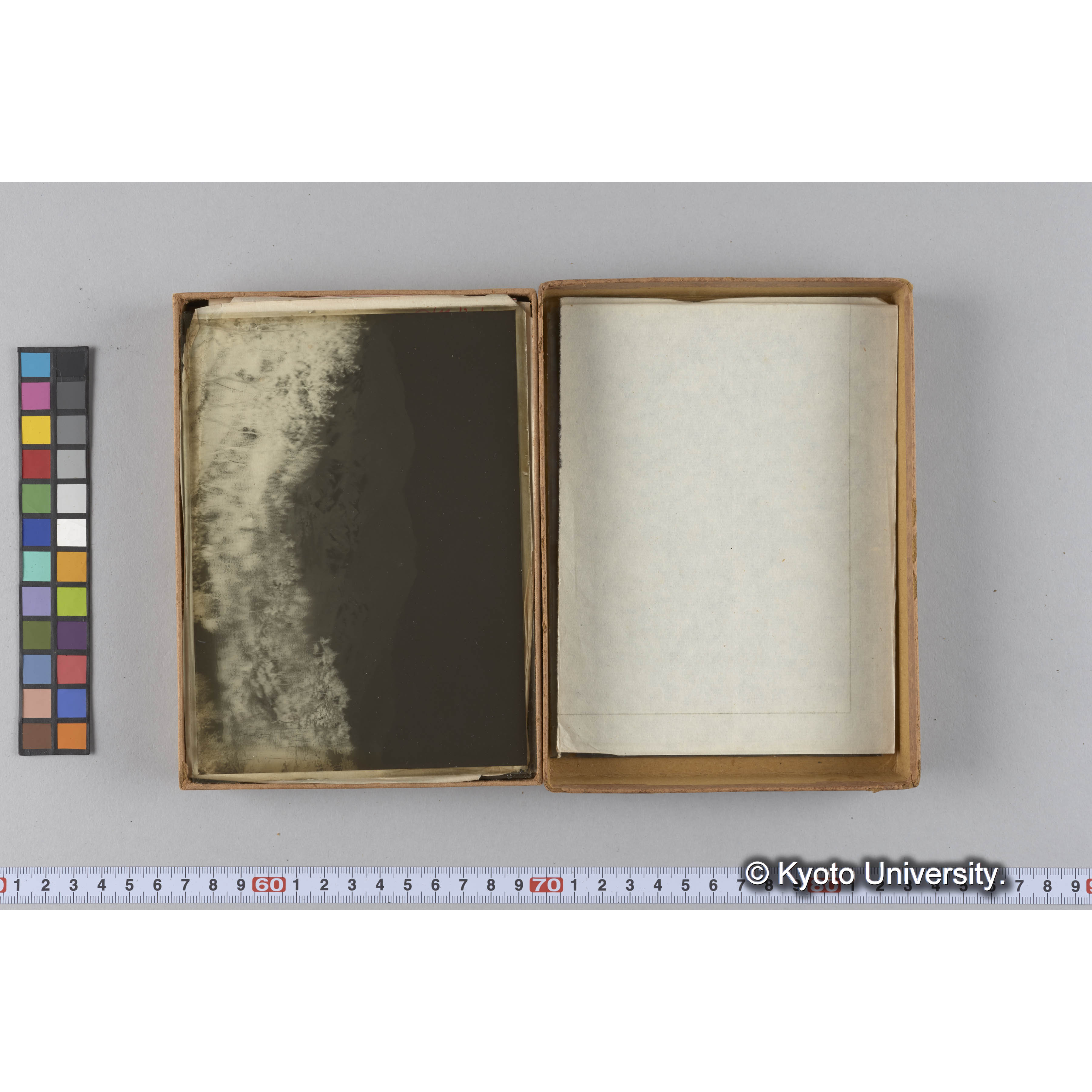 ガラス乾板F (5)