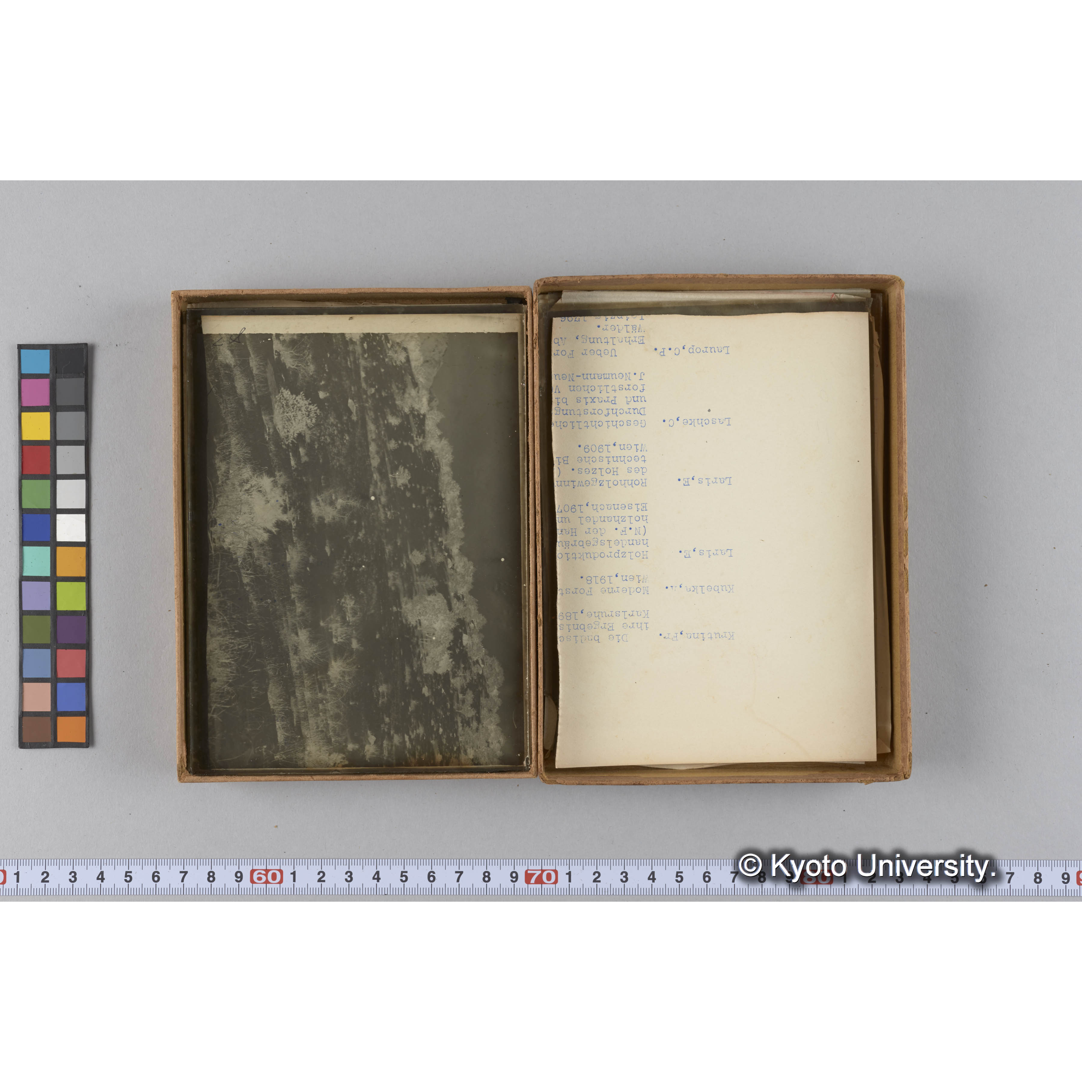 ガラス乾板F (10)