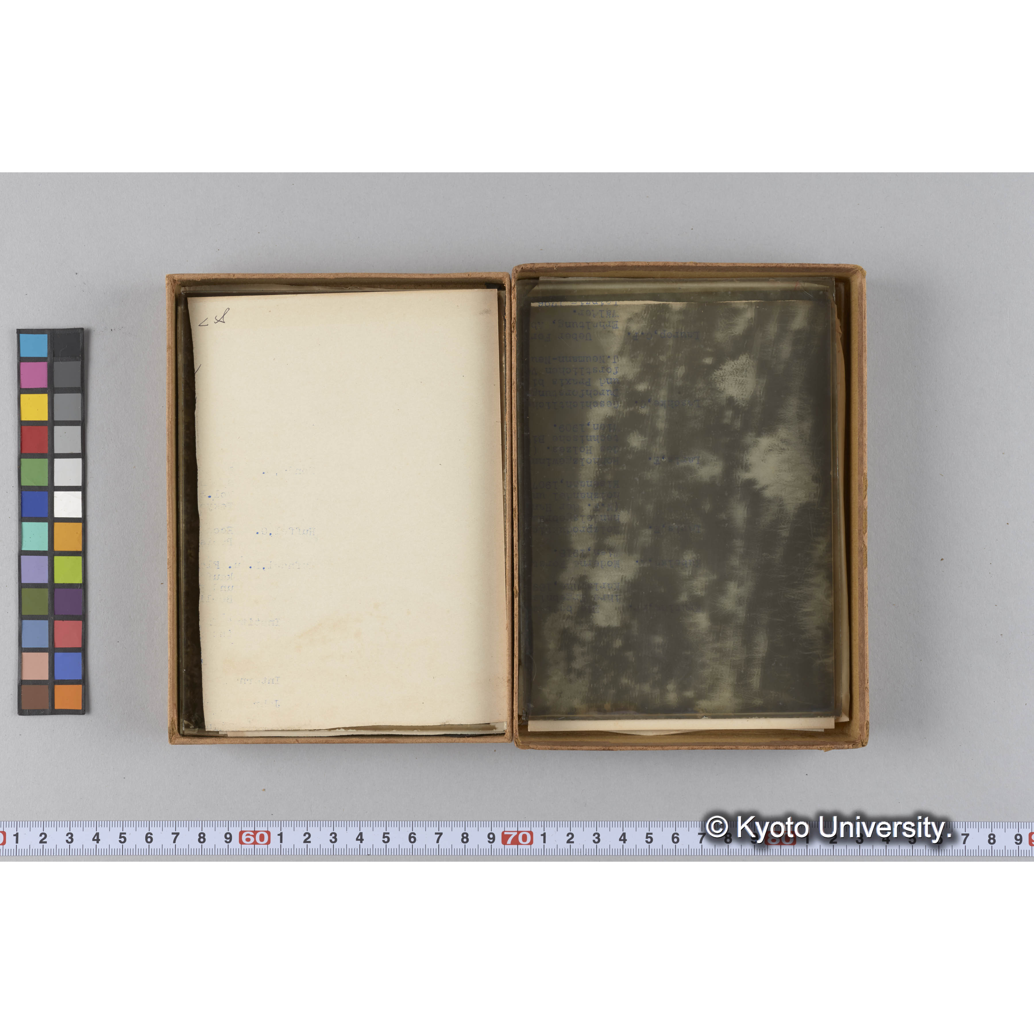 ガラス乾板F (11)