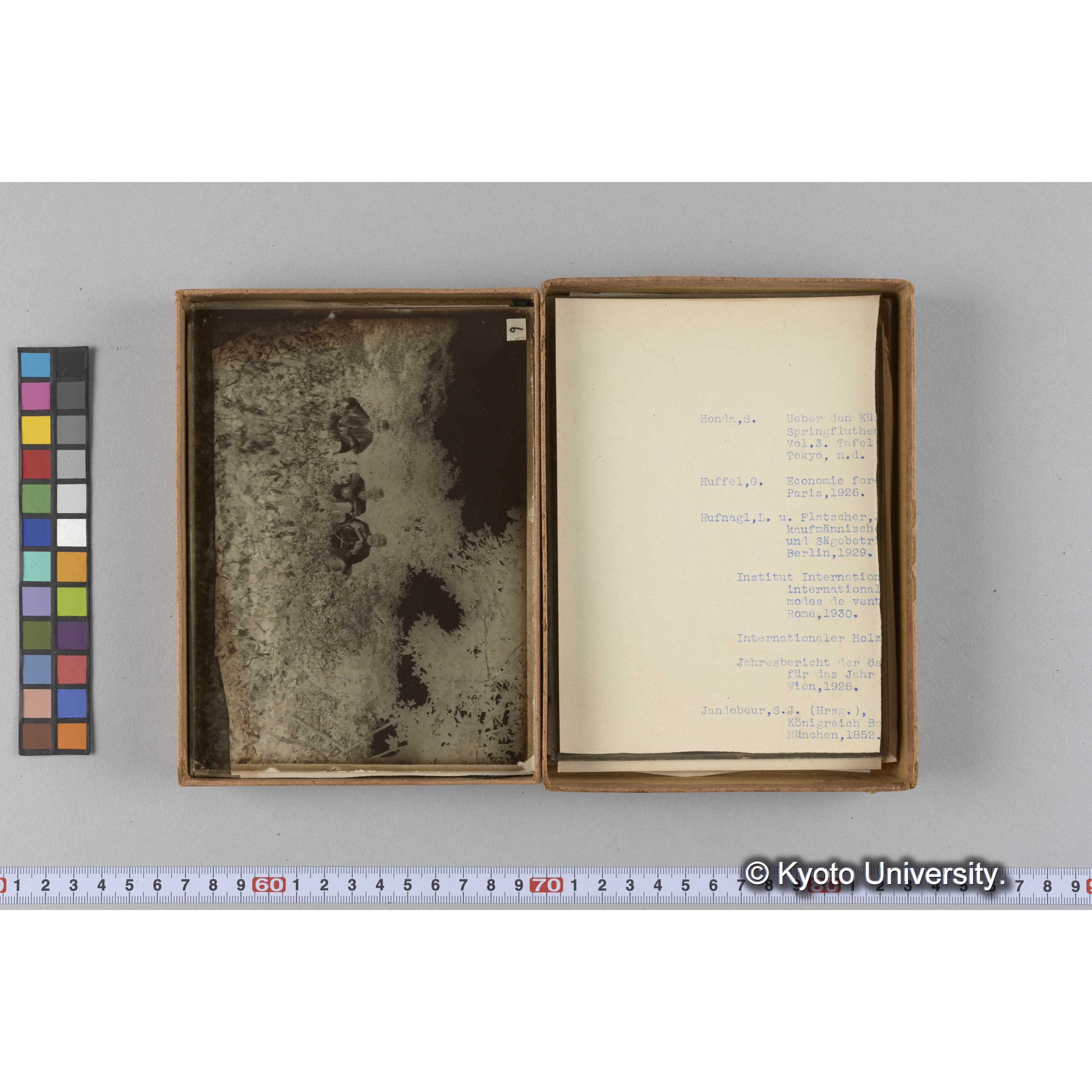 ガラス乾板F (12)