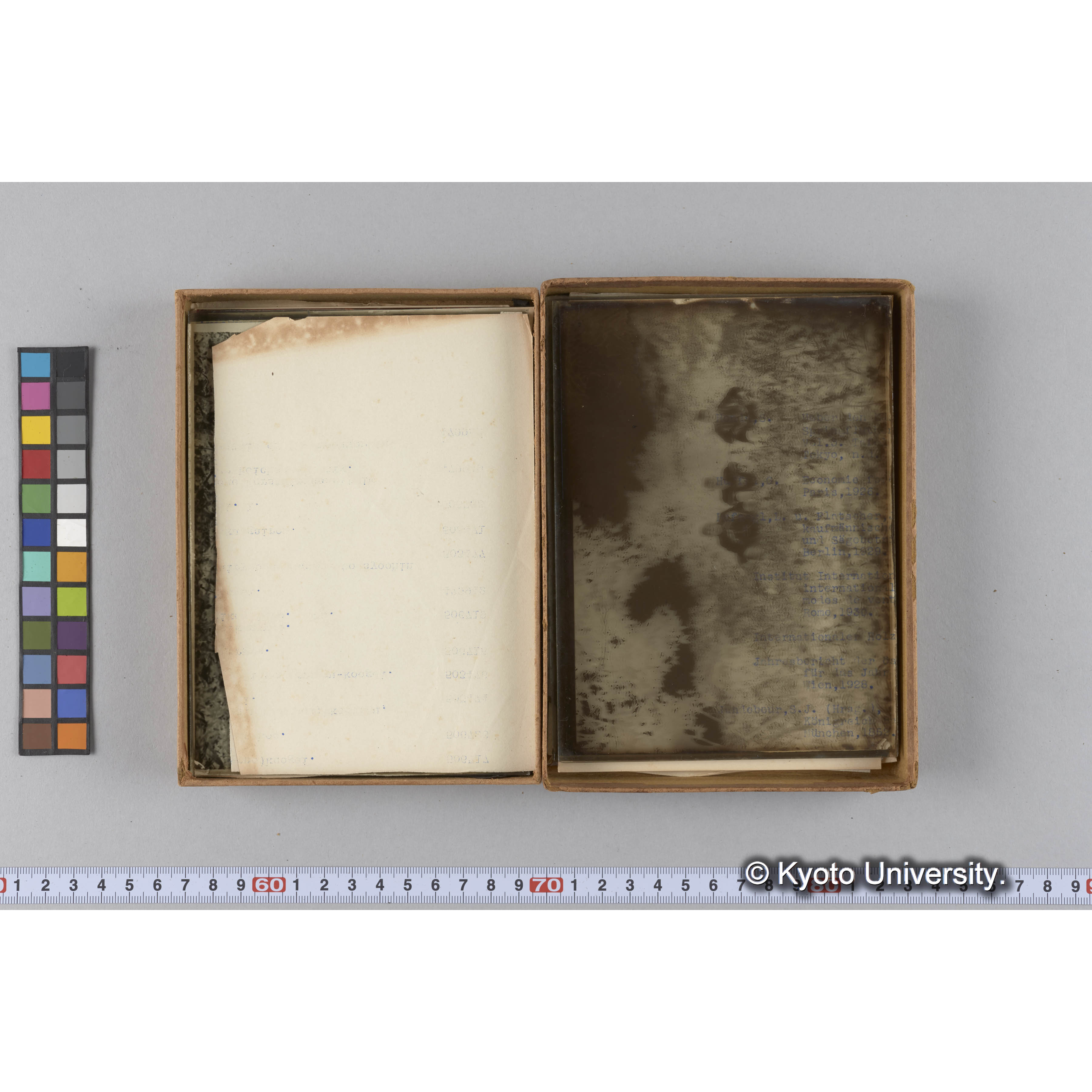 ガラス乾板F (13)