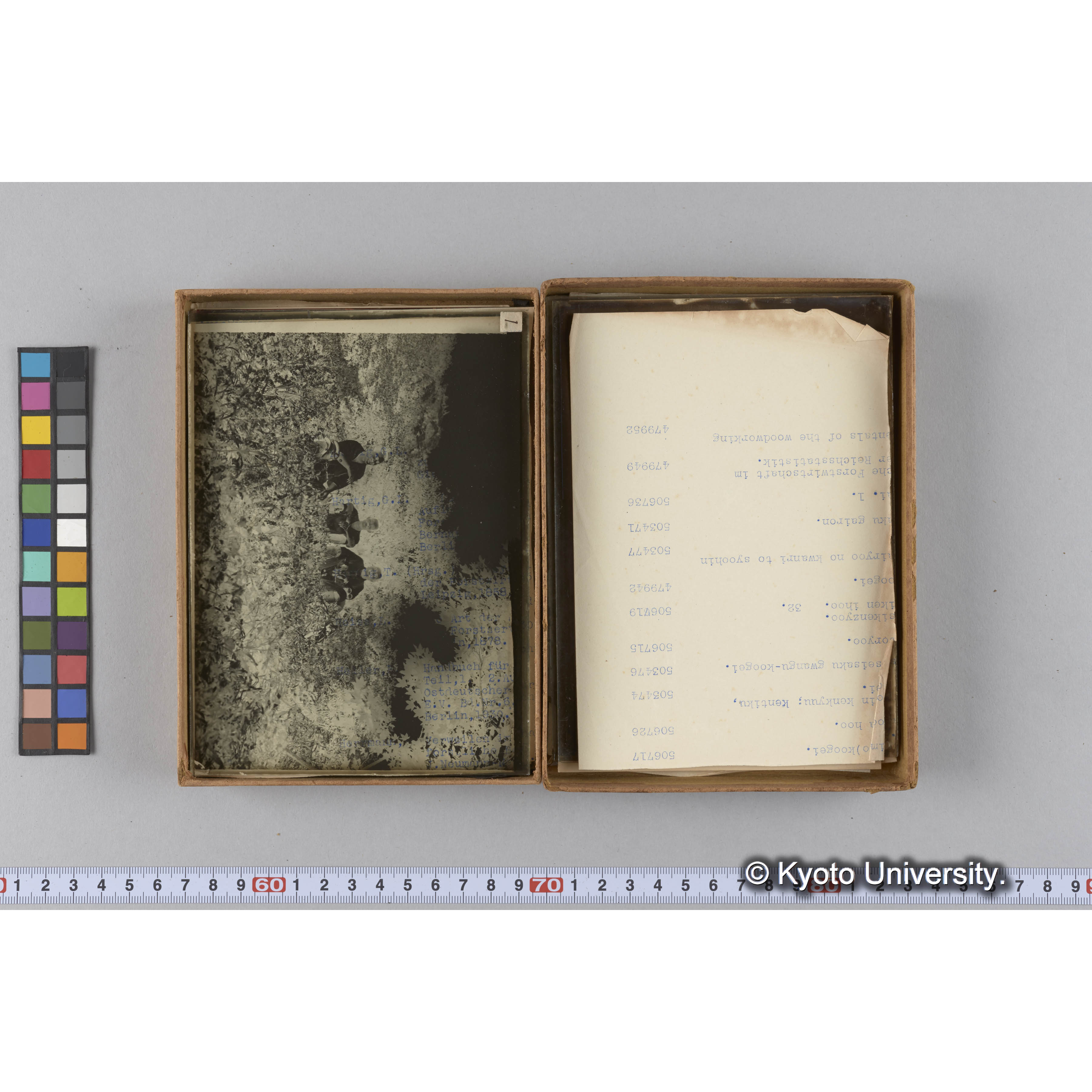 ガラス乾板F (14)