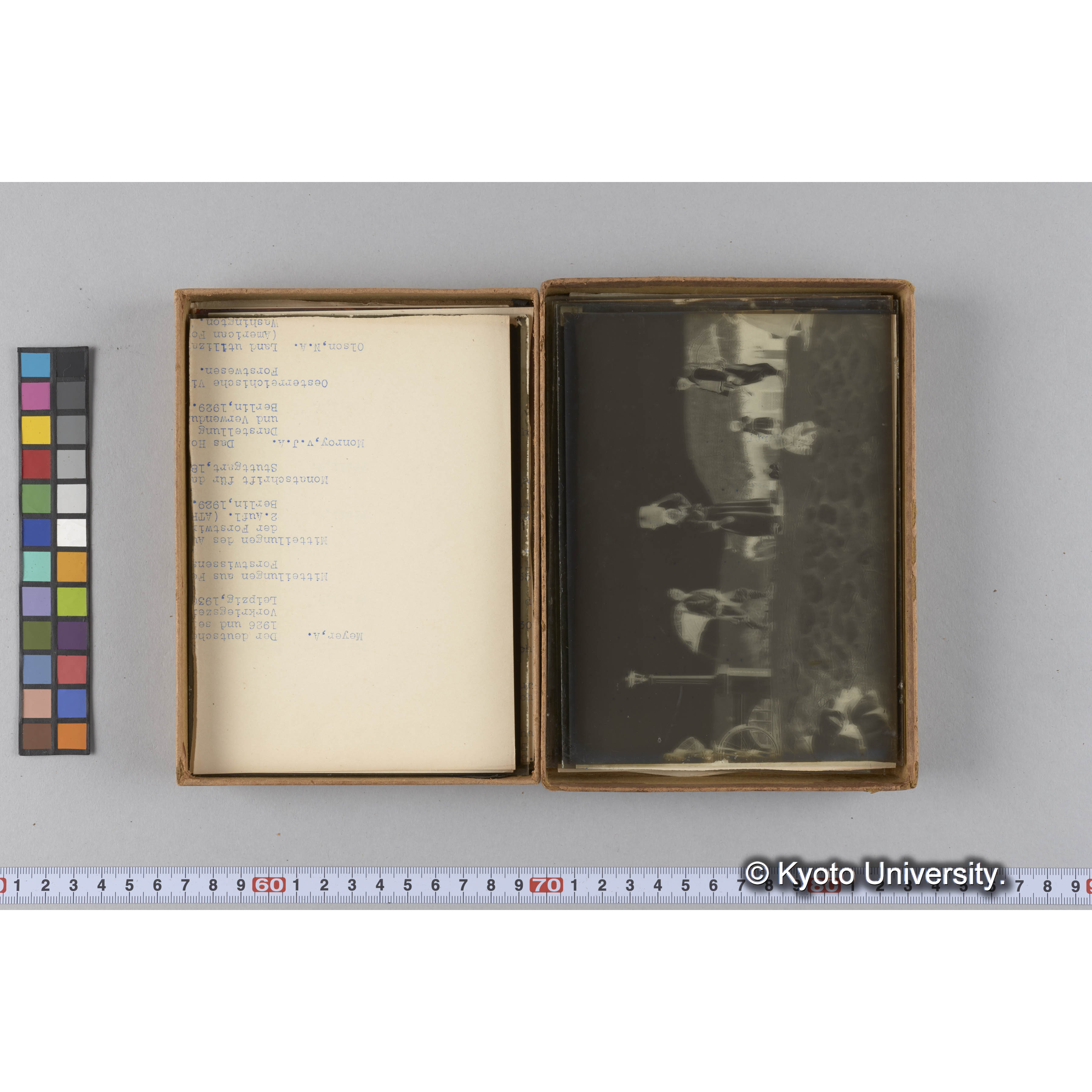 ガラス乾板F (17)