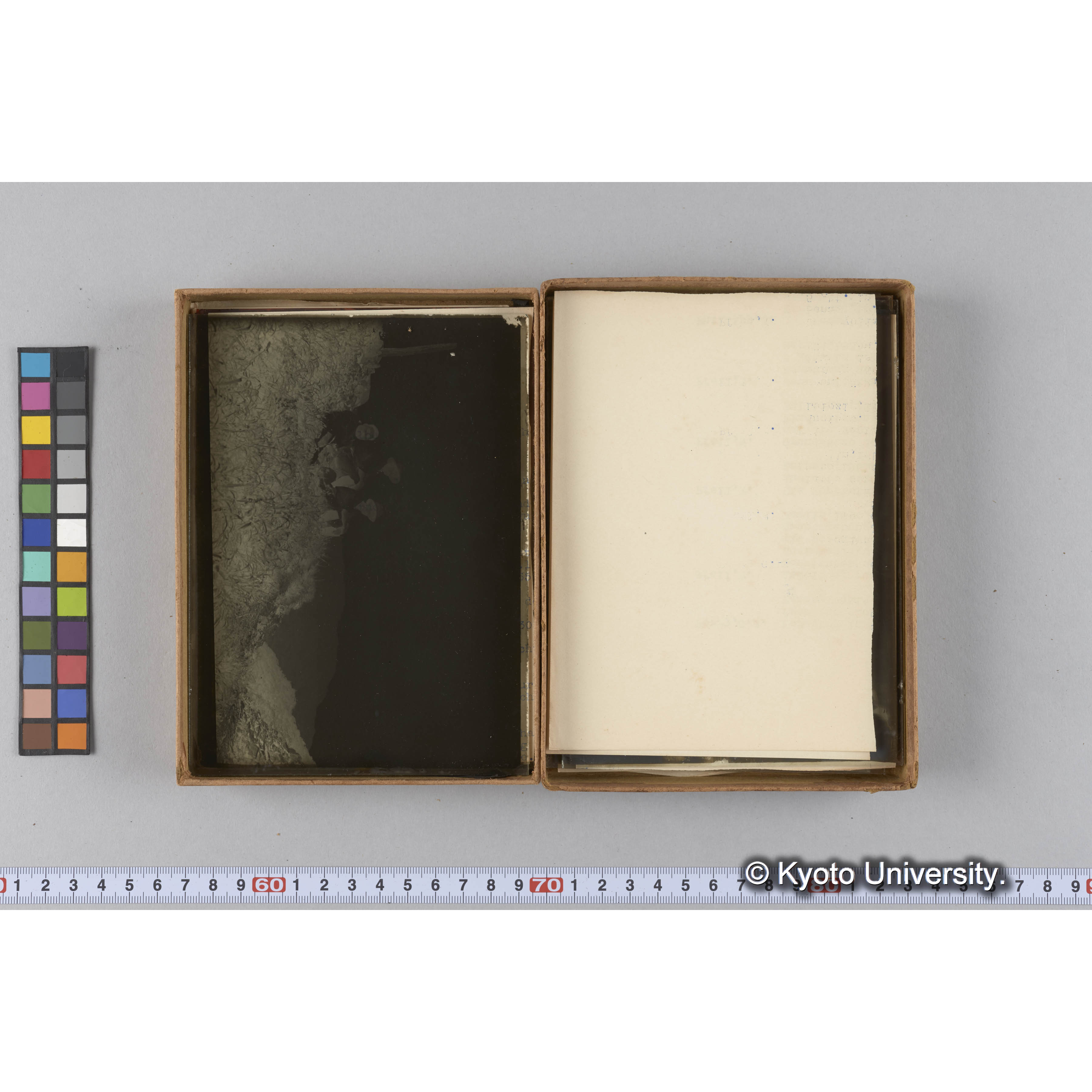 ガラス乾板F (19)