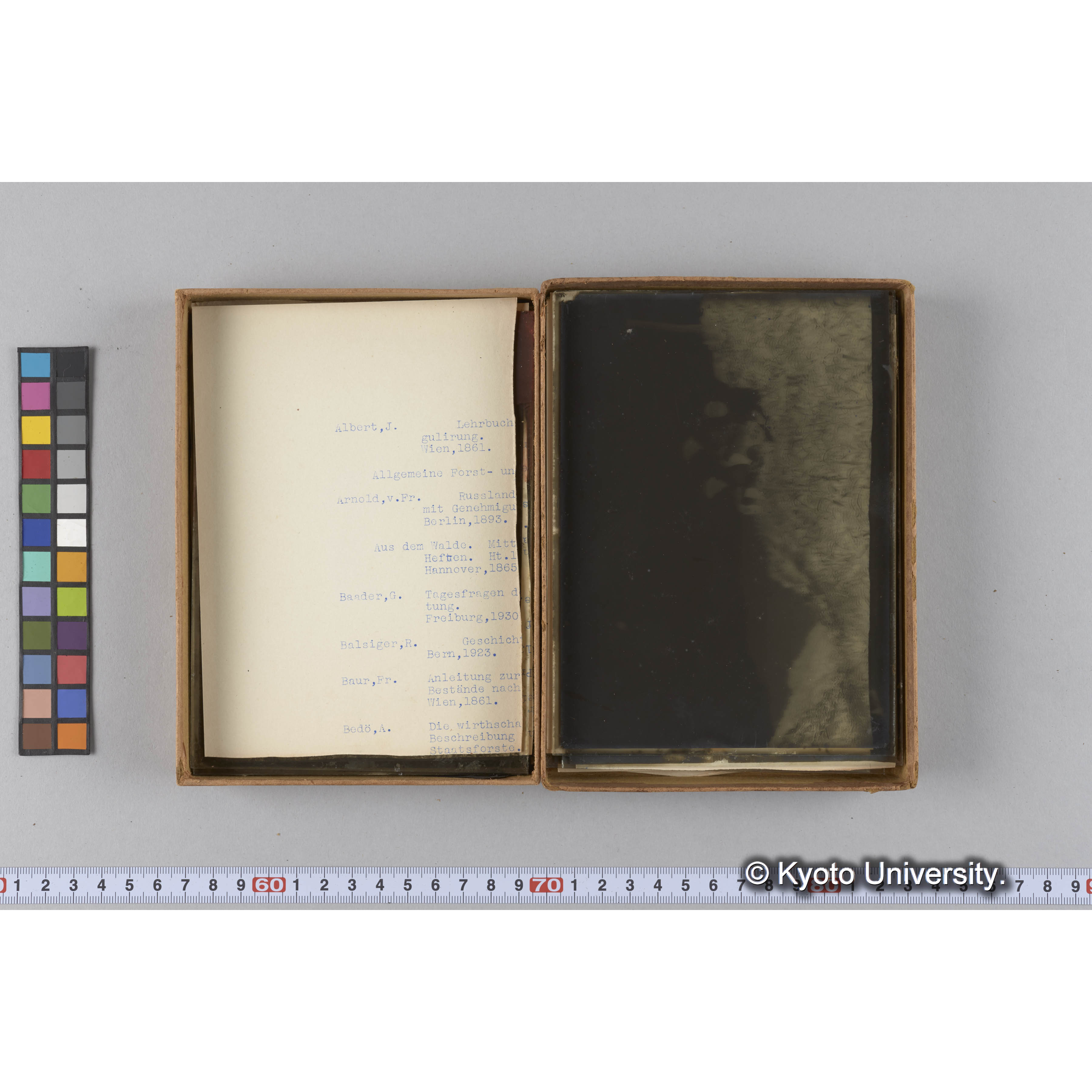 ガラス乾板F (20)