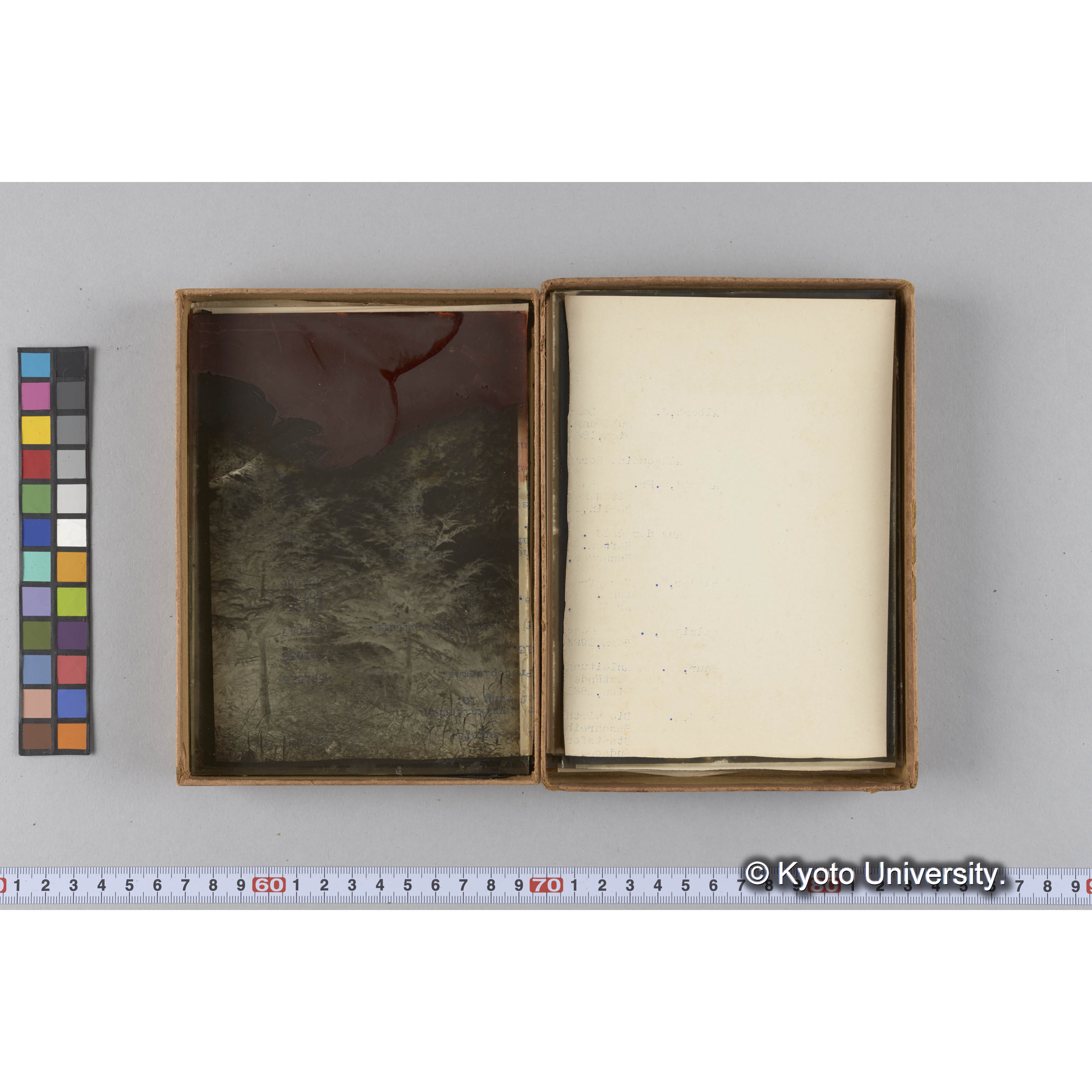 ガラス乾板F (21)