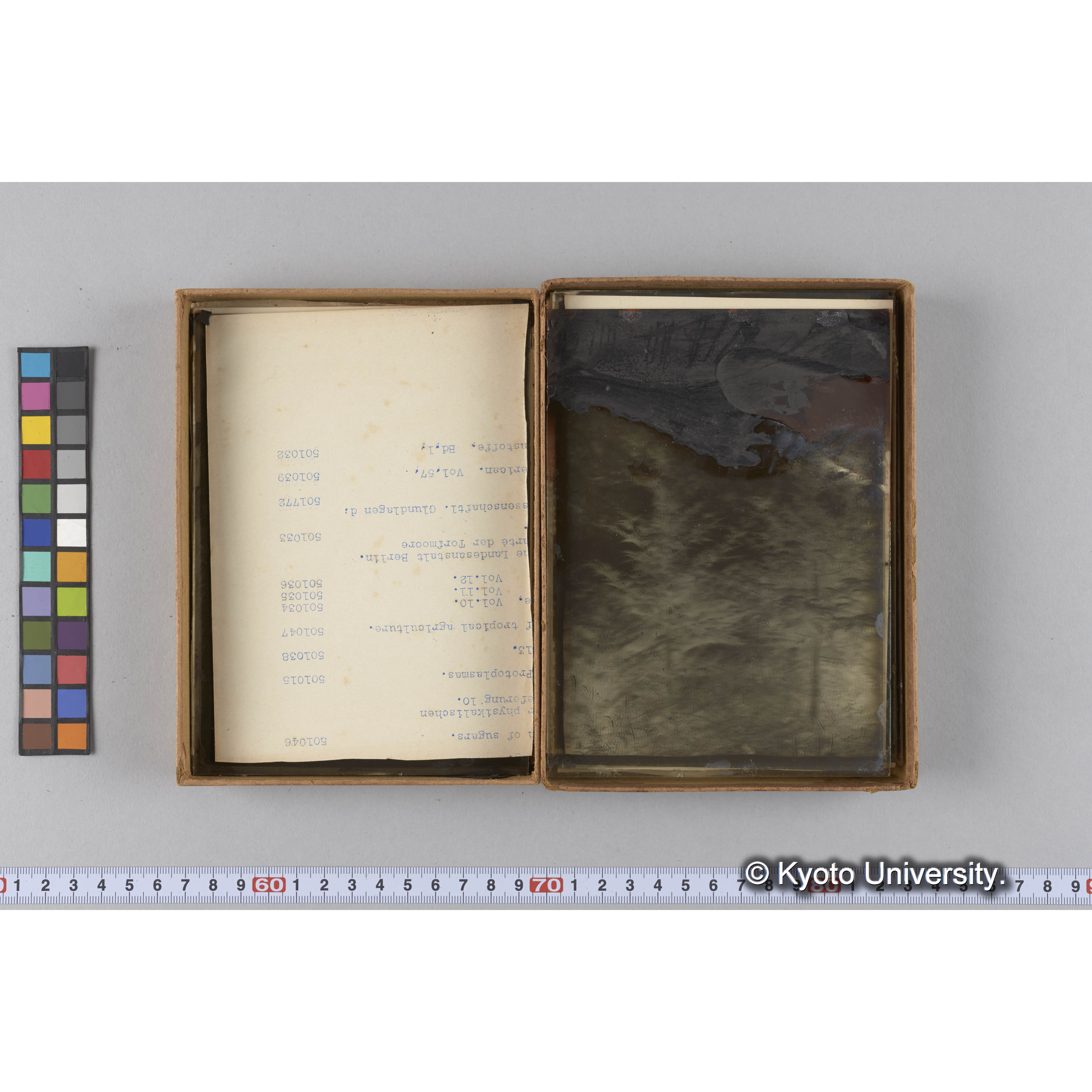 ガラス乾板F (22)